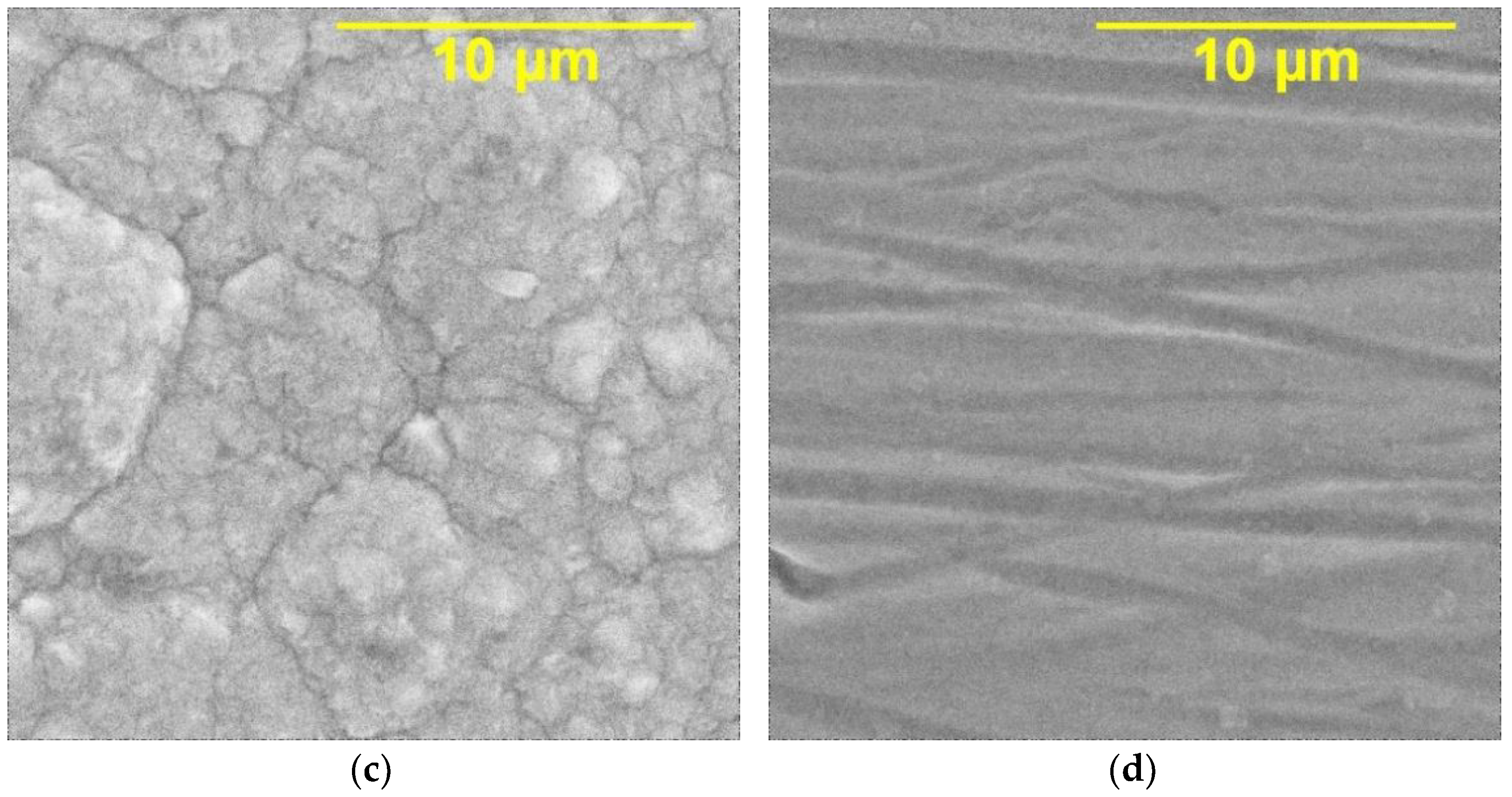 Coatings 13 01042 g002b Coatings 13 01042 g002b