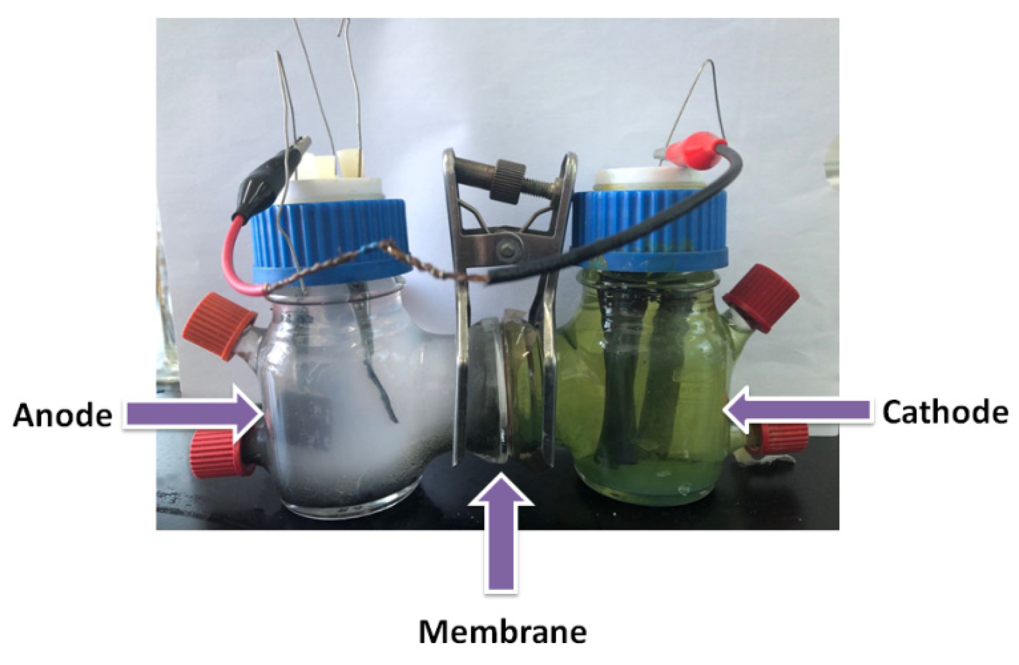 Coatings 13 01043 g001