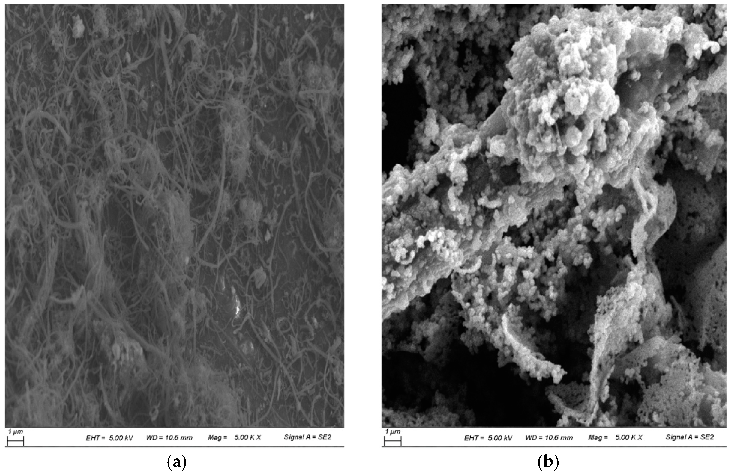 Coatings 13 01043 g002