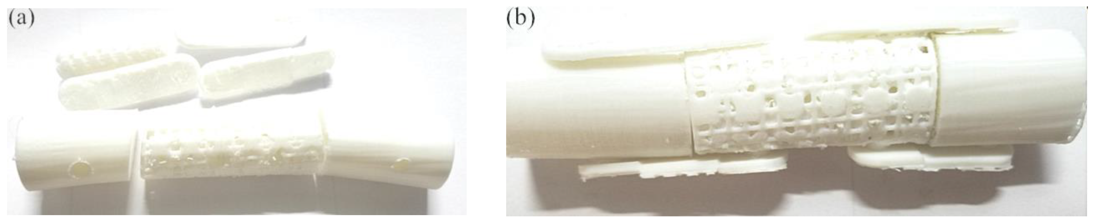 Coatings 13 01044 g010