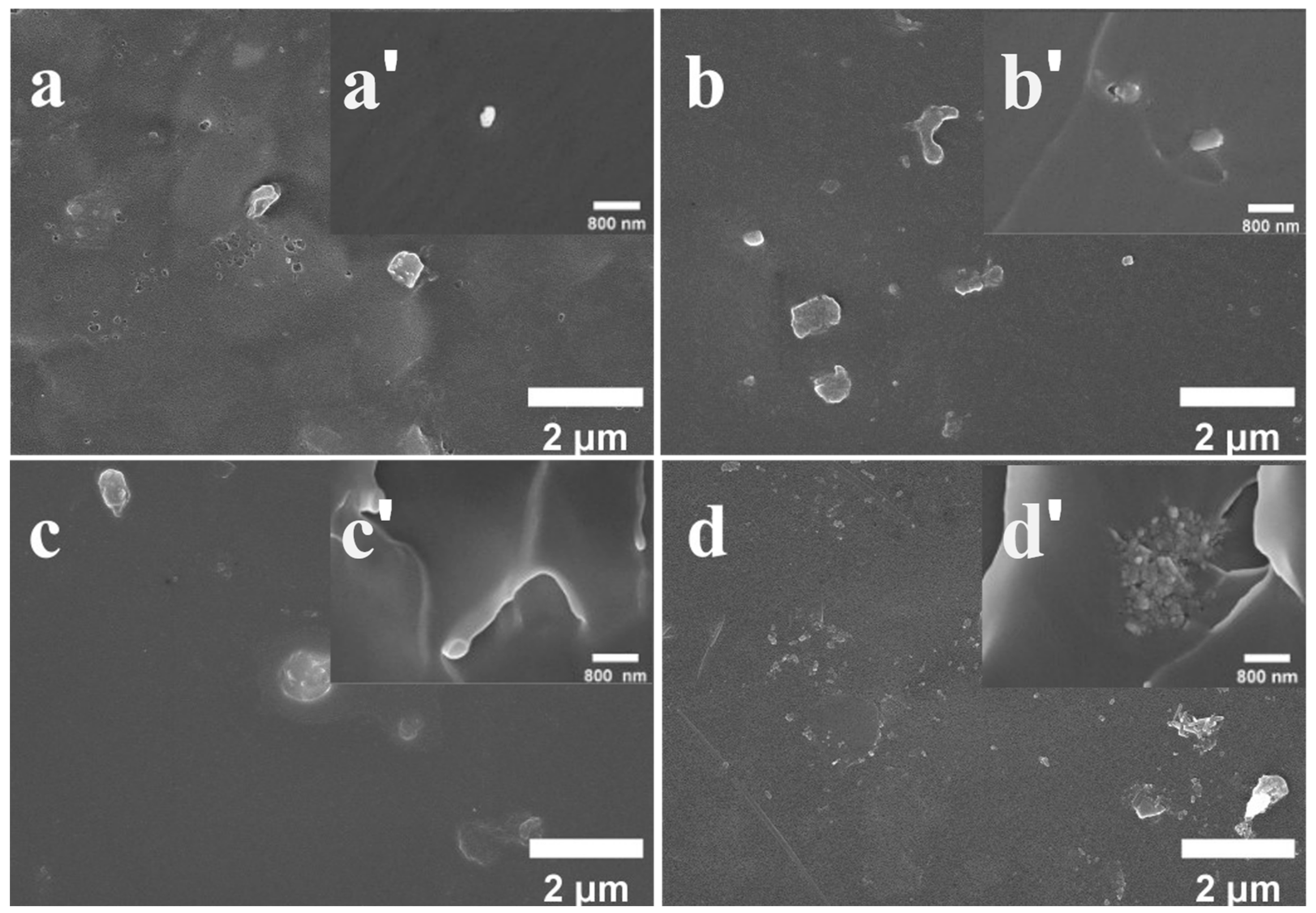 Coatings 13 01046 g005