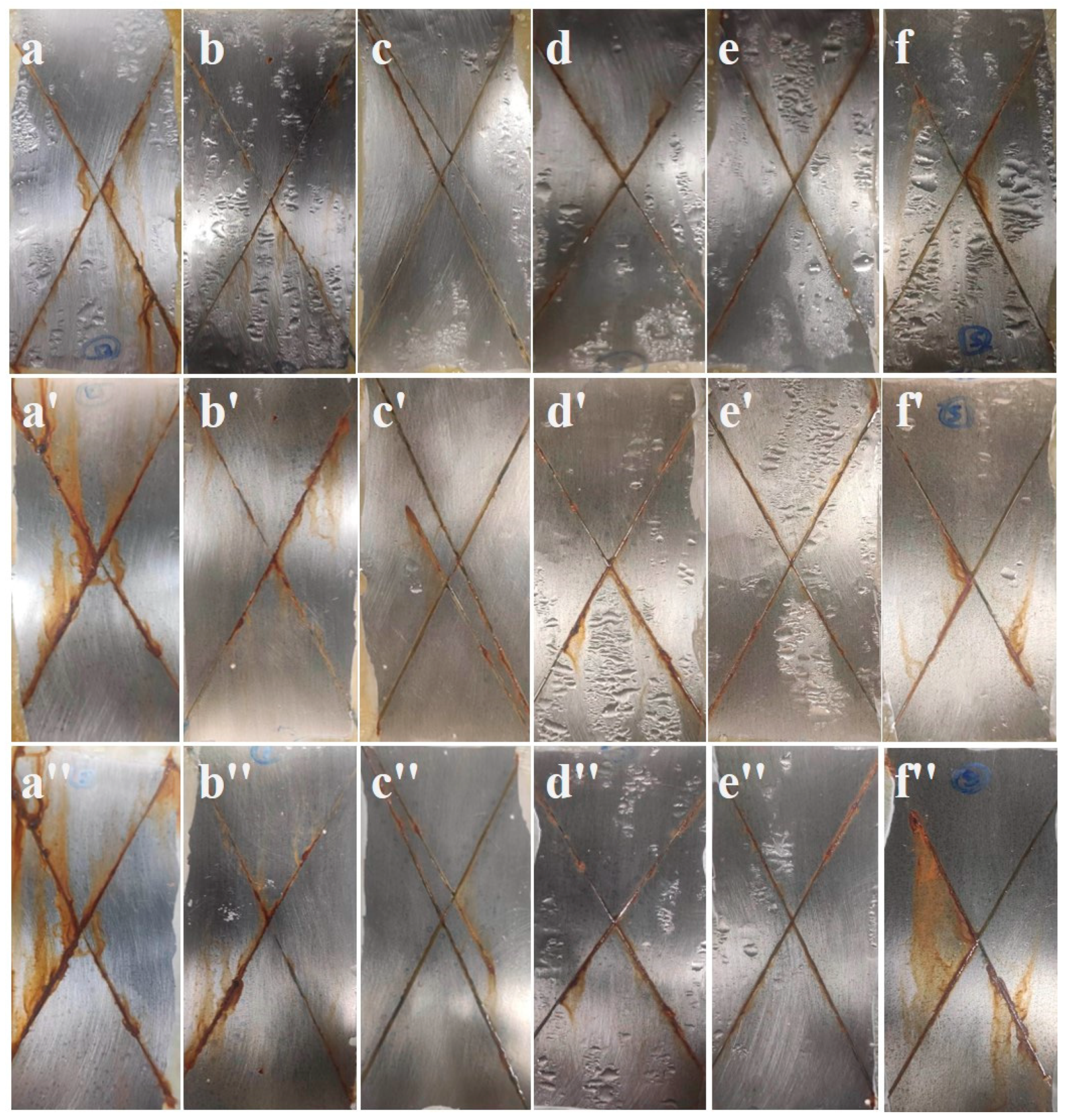 Coatings 13 01046 g009