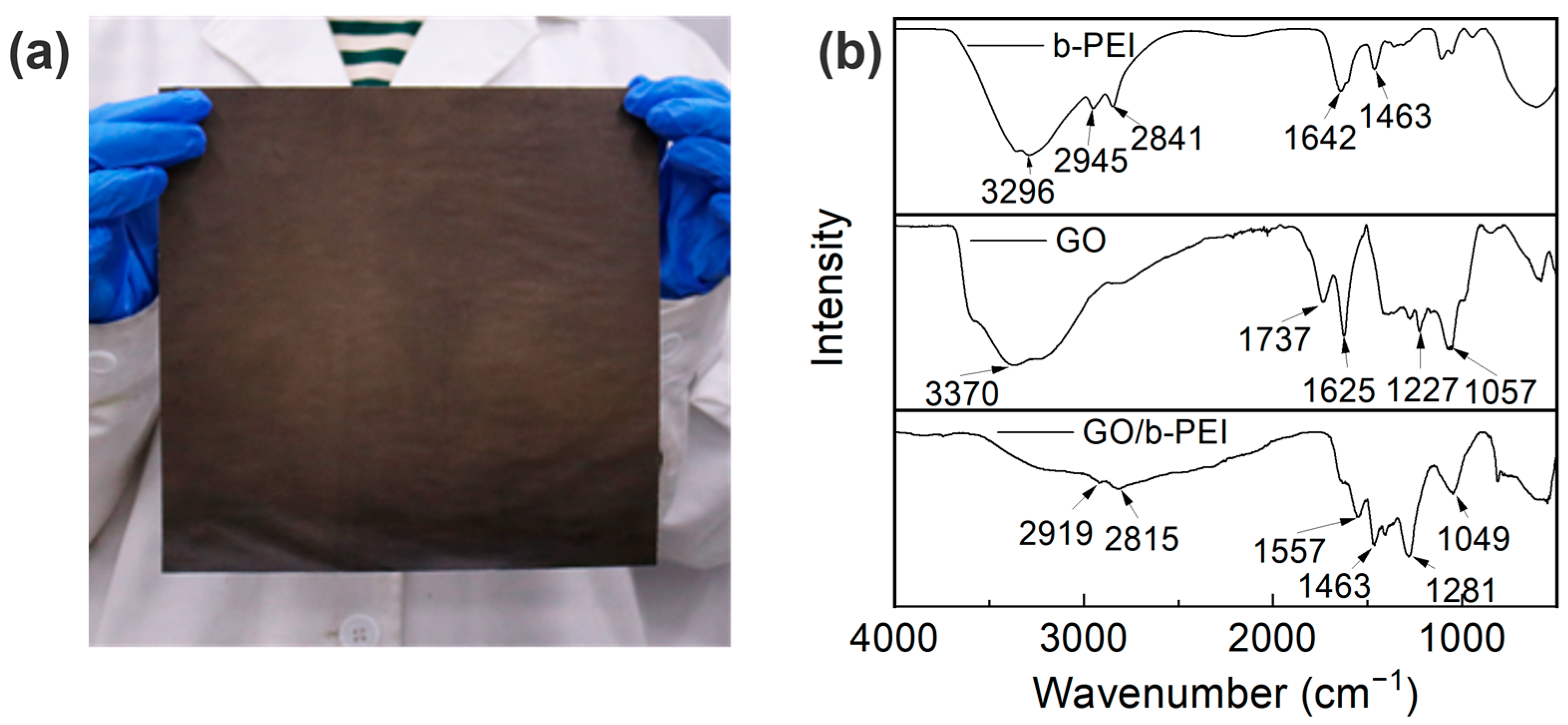 Coatings 13 01047 g001 Coatings 13 01047 g001