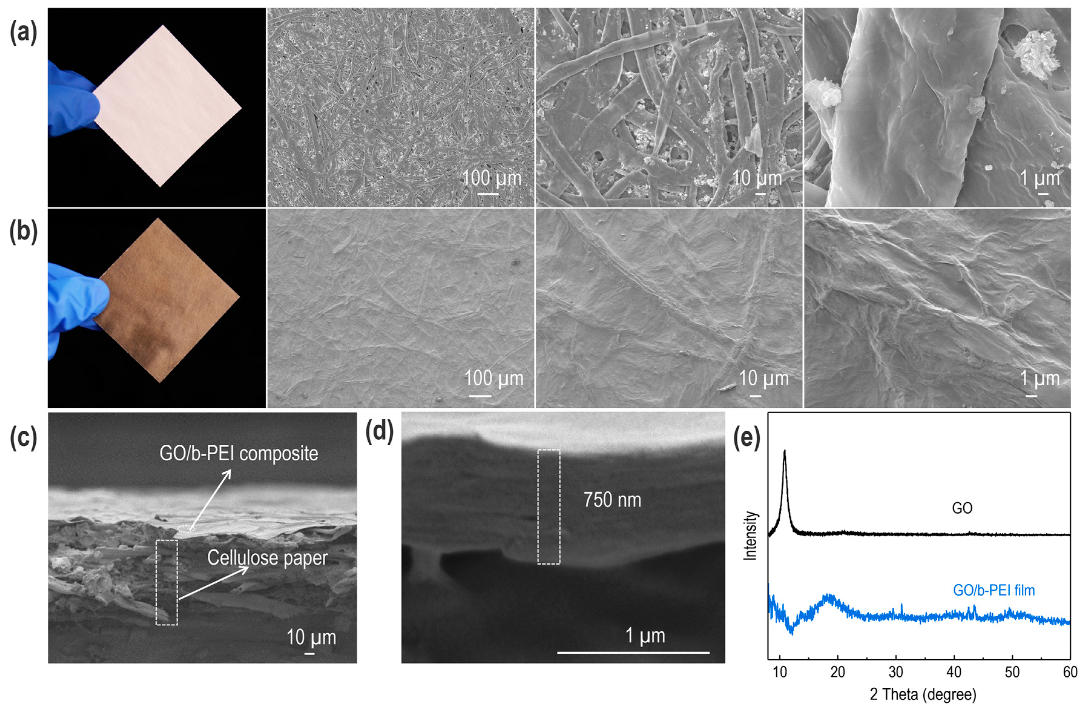 Coatings 13 01047 g002 Coatings 13 01047 g002