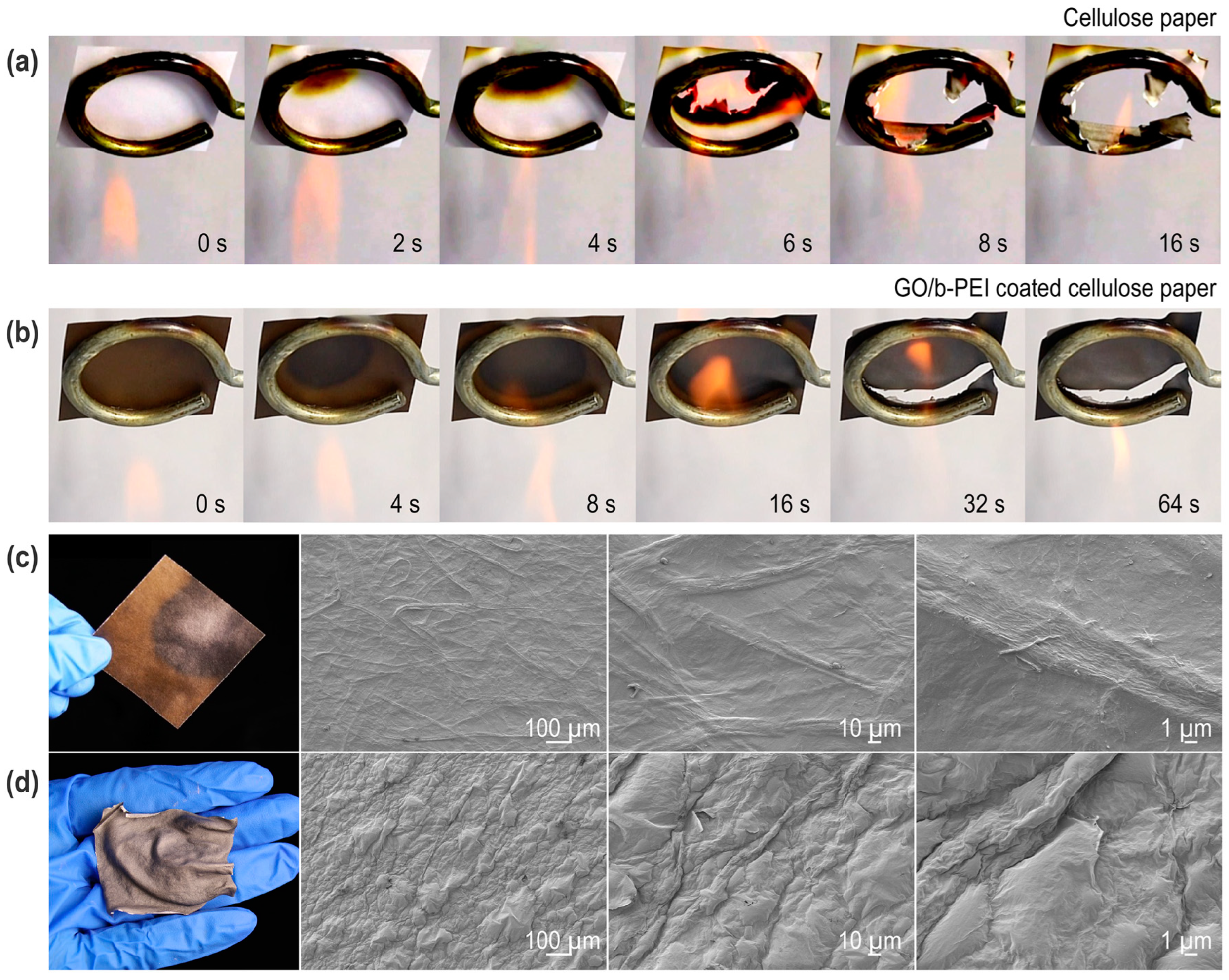 Coatings 13 01047 g003 Coatings 13 01047 g003