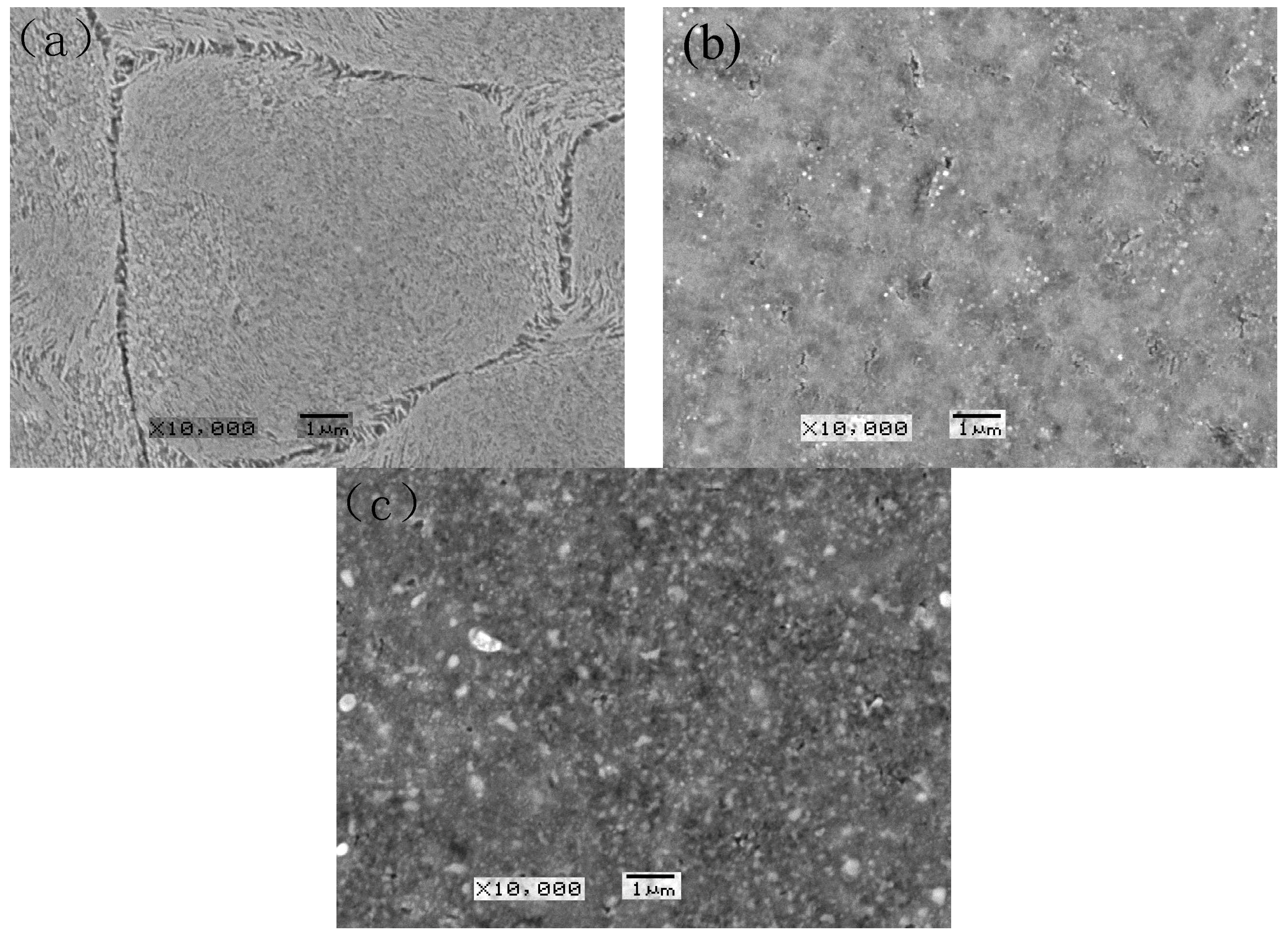 Coatings 13 01052 g001 Coatings 13 01052 g001