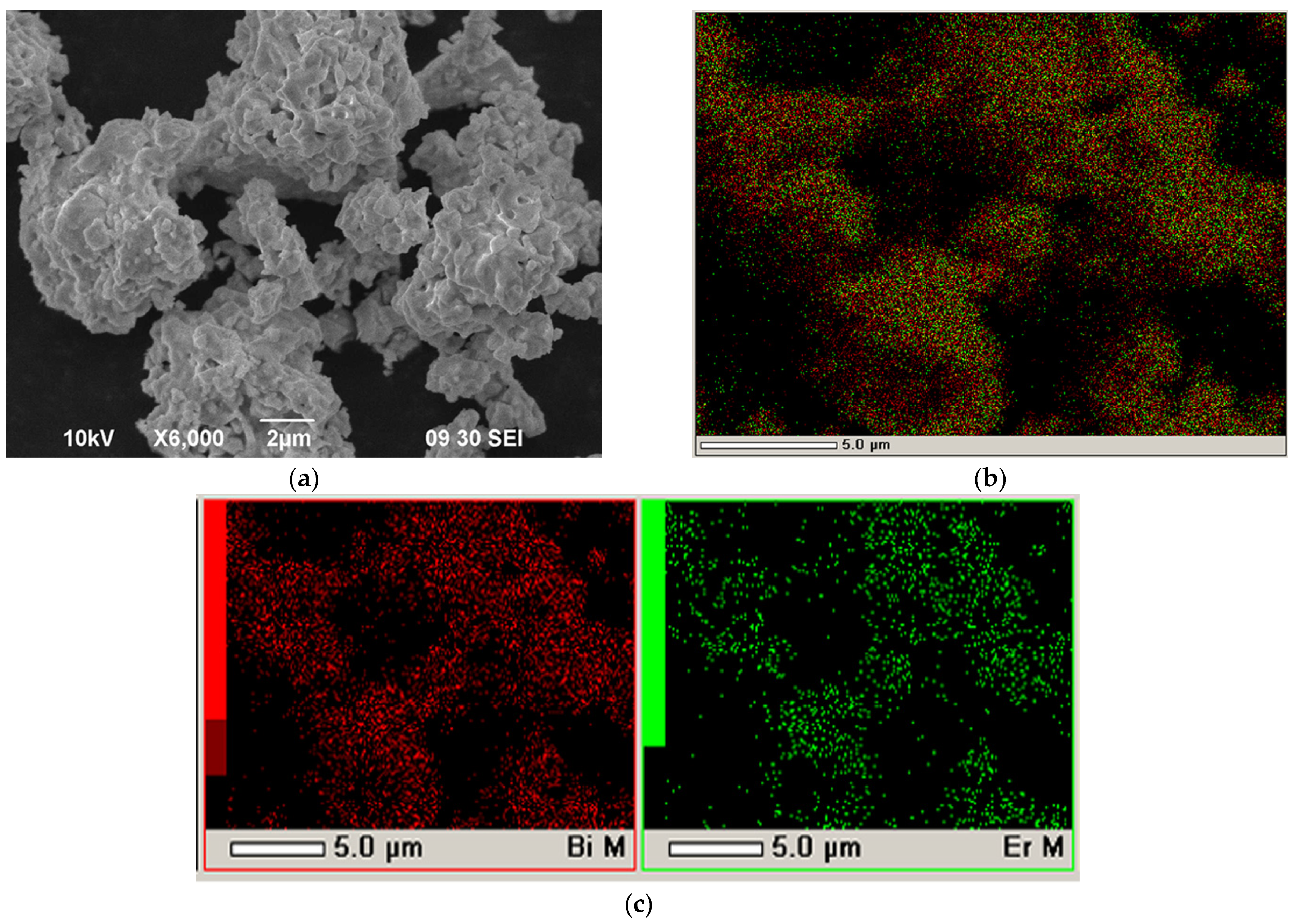 Coatings 13 01053 g002