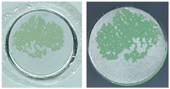 Coatings 13 01054 i027 Coatings 13 01054 i027