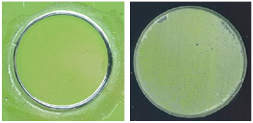 Coatings 13 01054 i030 Coatings 13 01054 i030