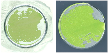 Coatings 13 01054 i032 Coatings 13 01054 i032