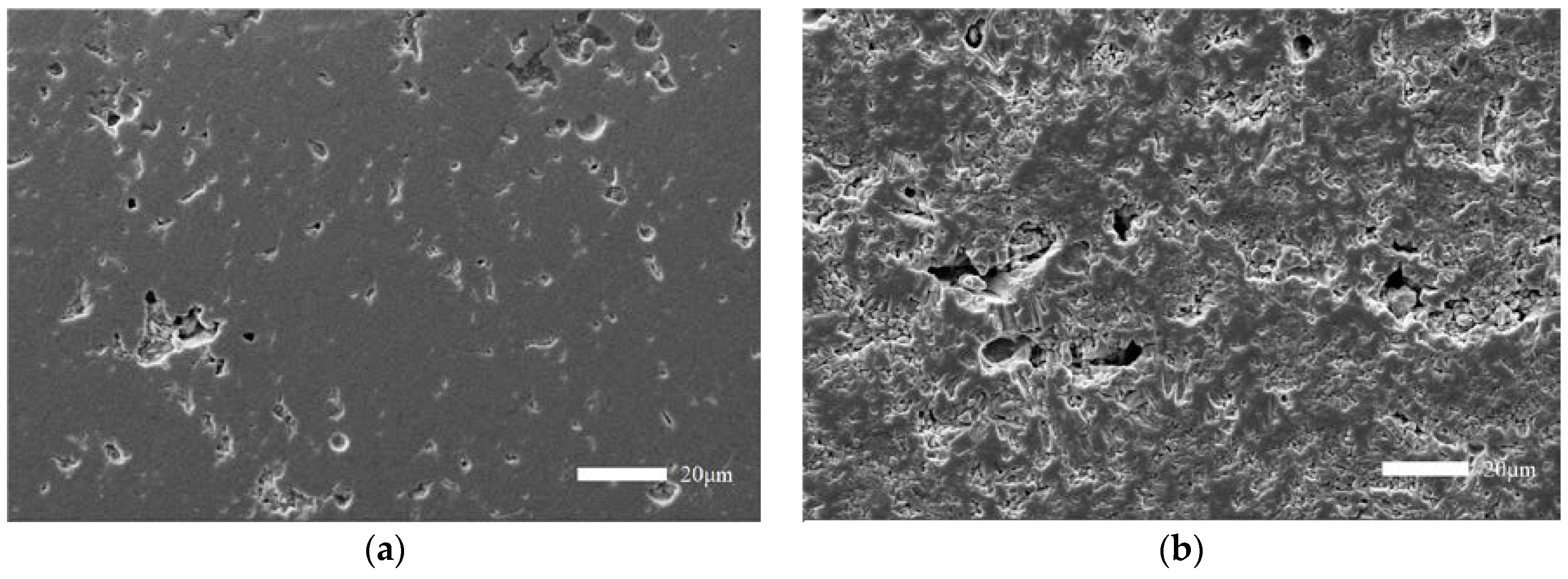 Coatings 13 01060 g002 Coatings 13 01060 g002