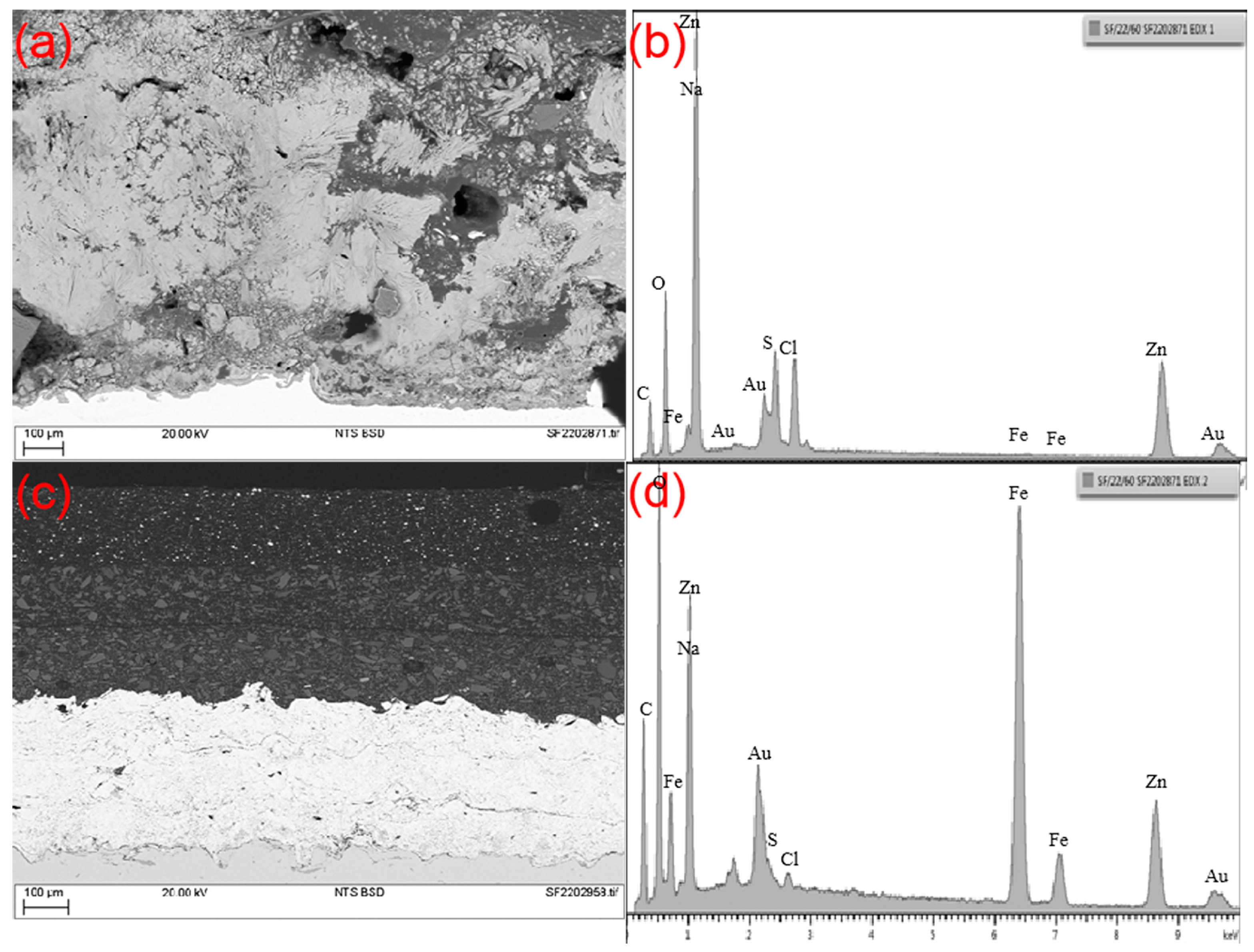 Coatings 13 01063 g006