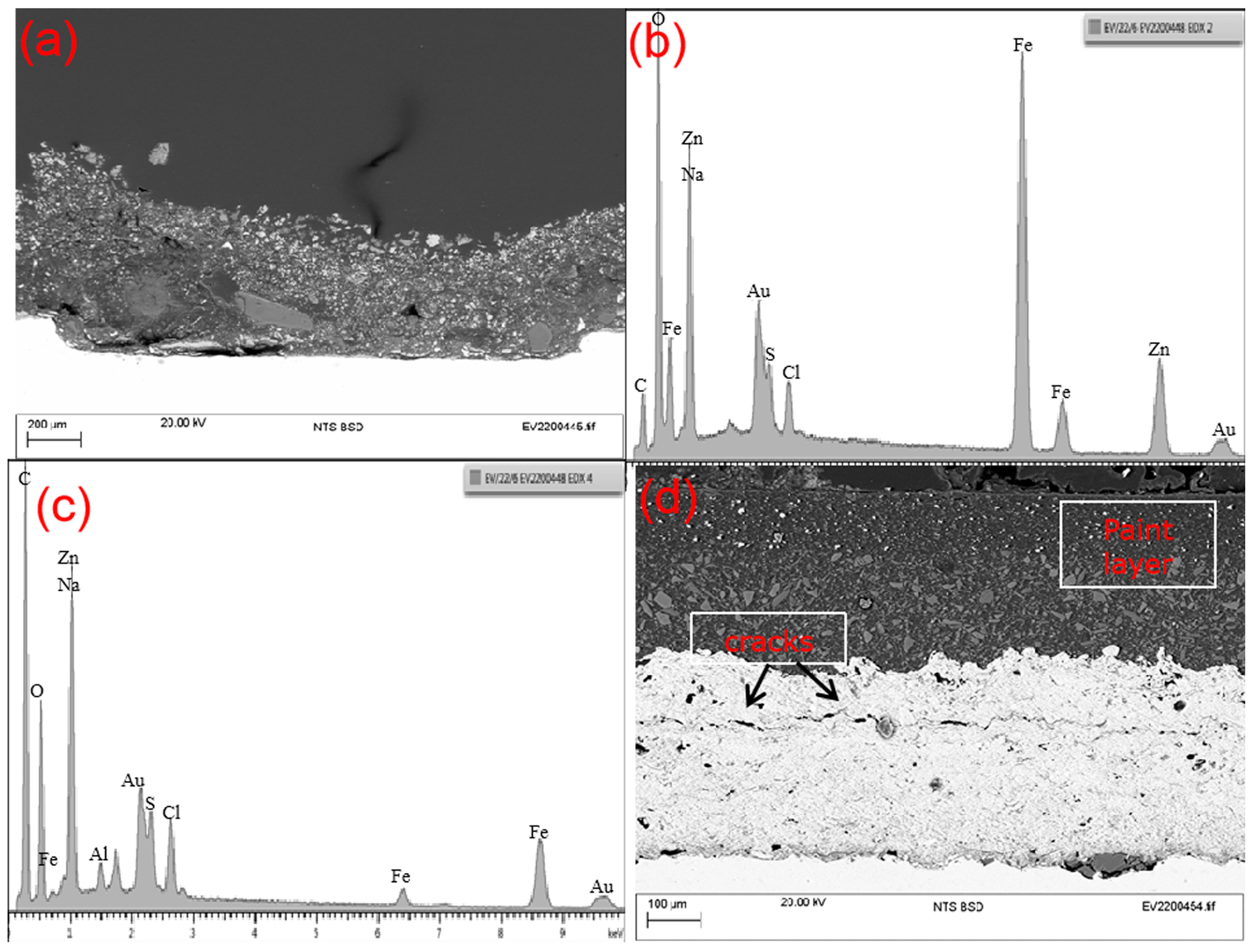 Coatings 13 01063 g008