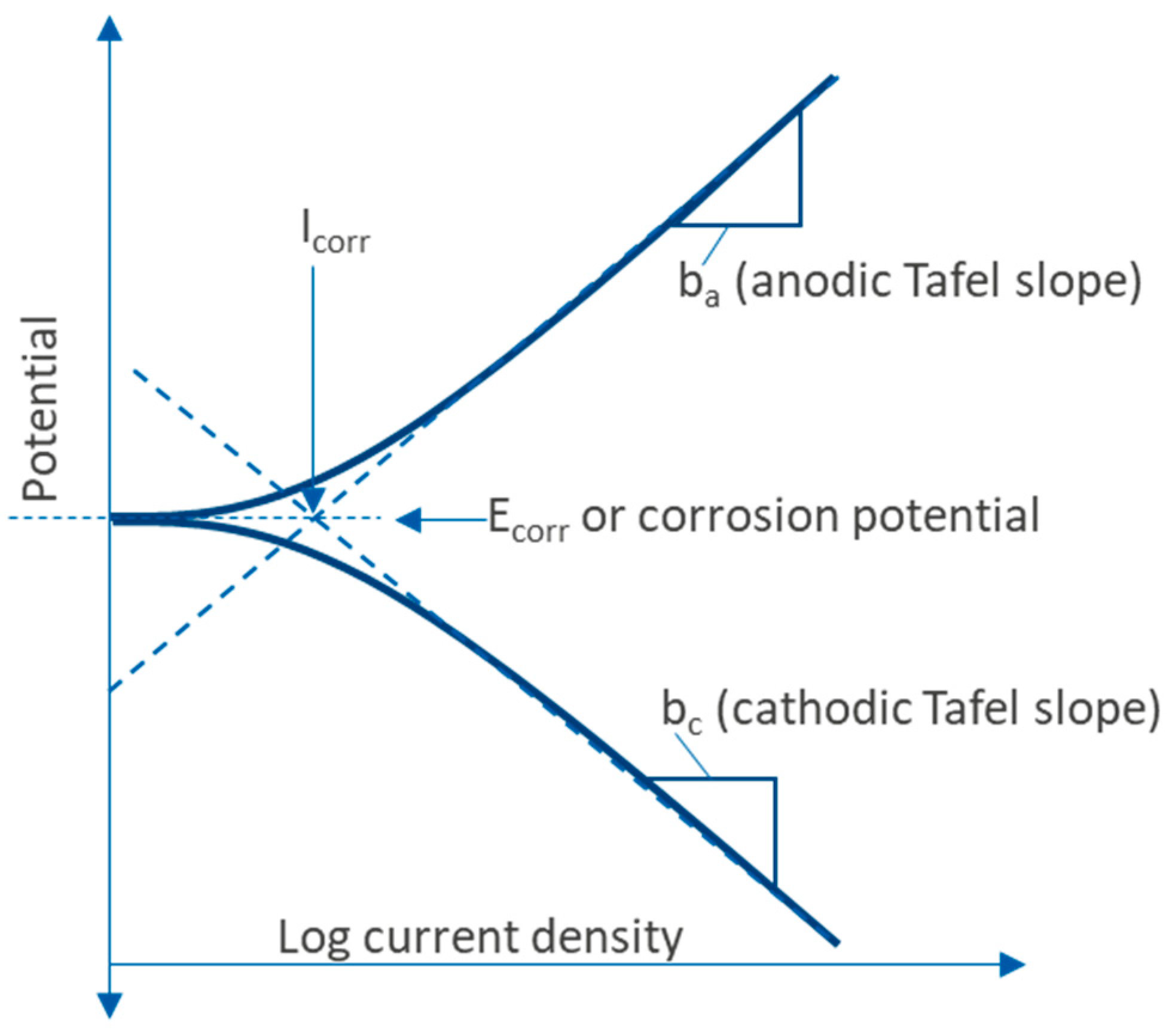 Coatings 13 01063 g011