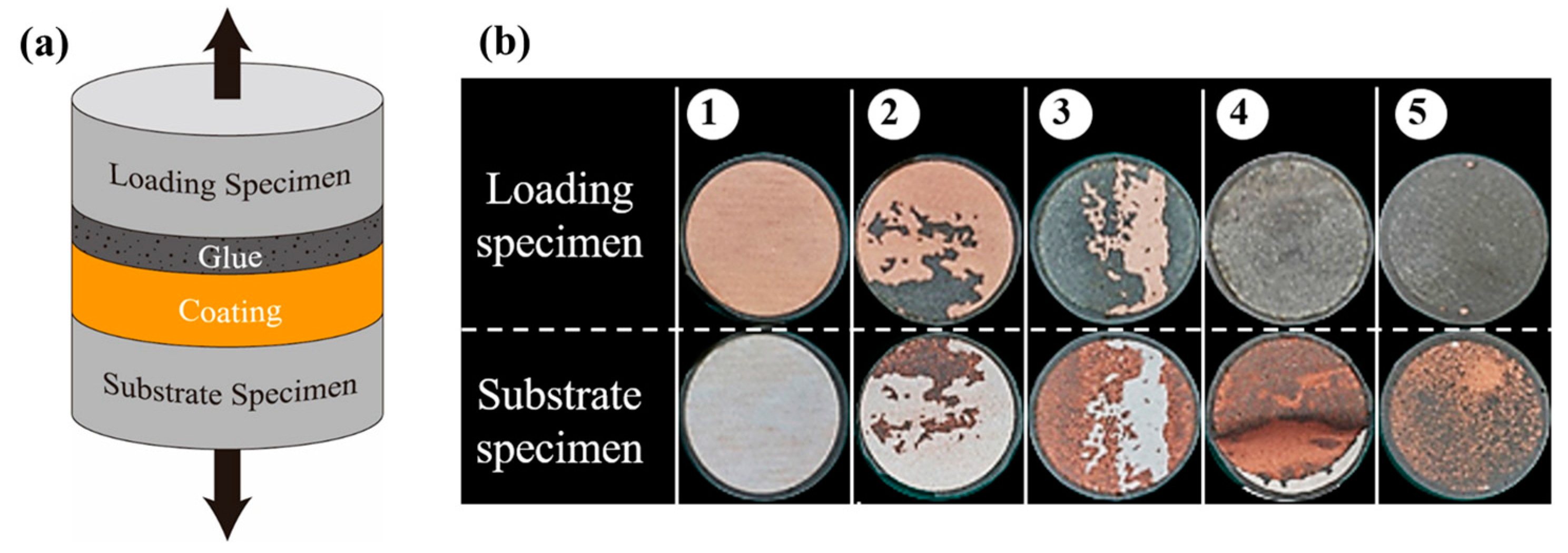 Coatings 13 01065 g004 Coatings 13 01065 g004