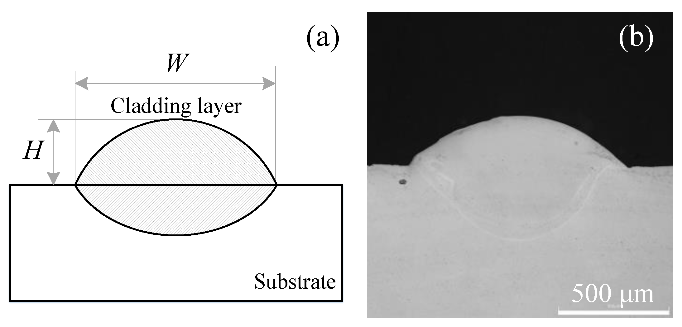 Coatings 13 01066 g002