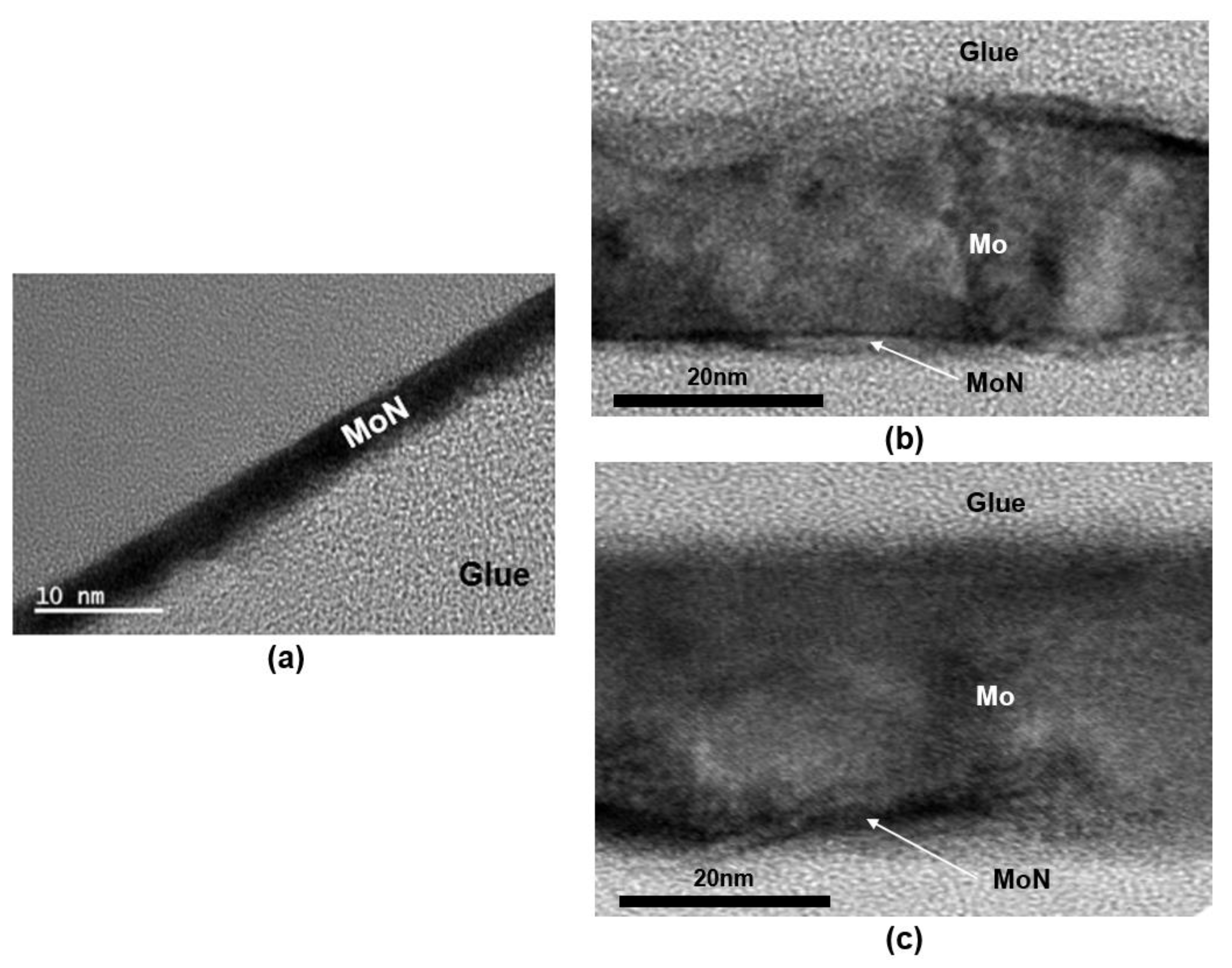 Coatings 13 01070 g002