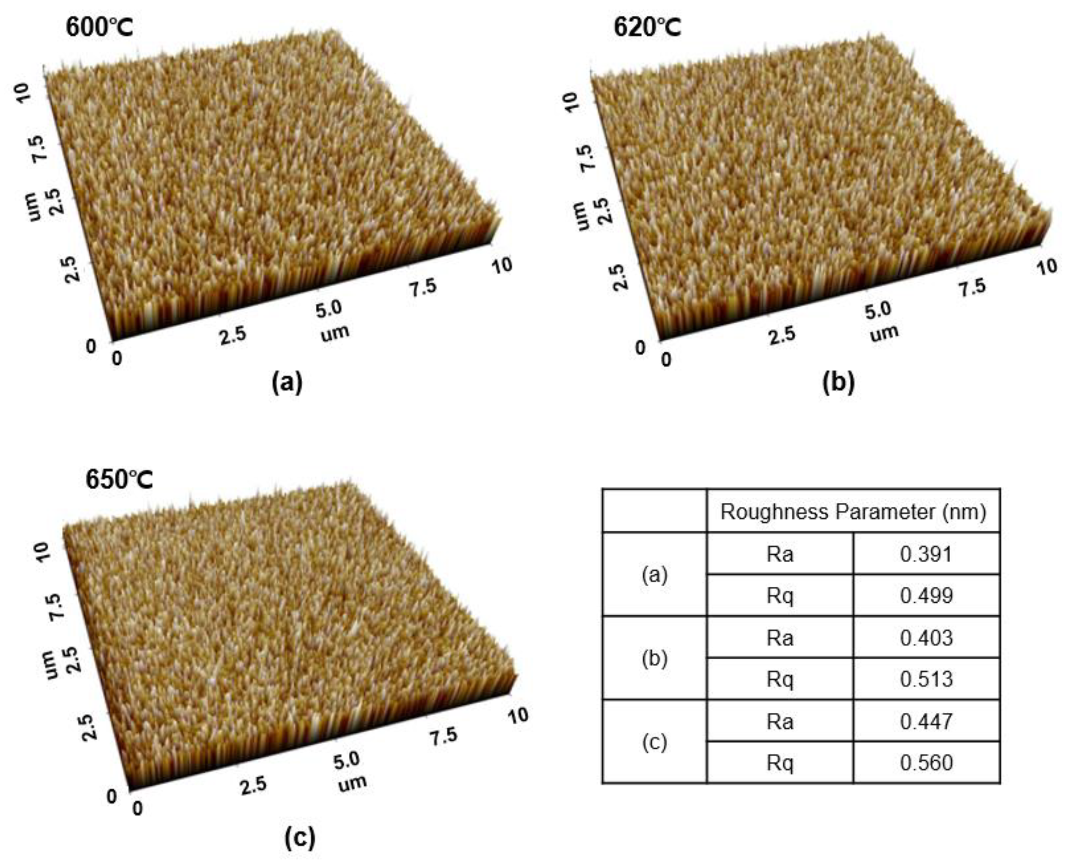 Coatings 13 01070 g008