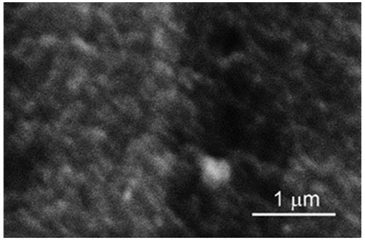 Coatings 13 01074 g007 Coatings 13 01074 g007