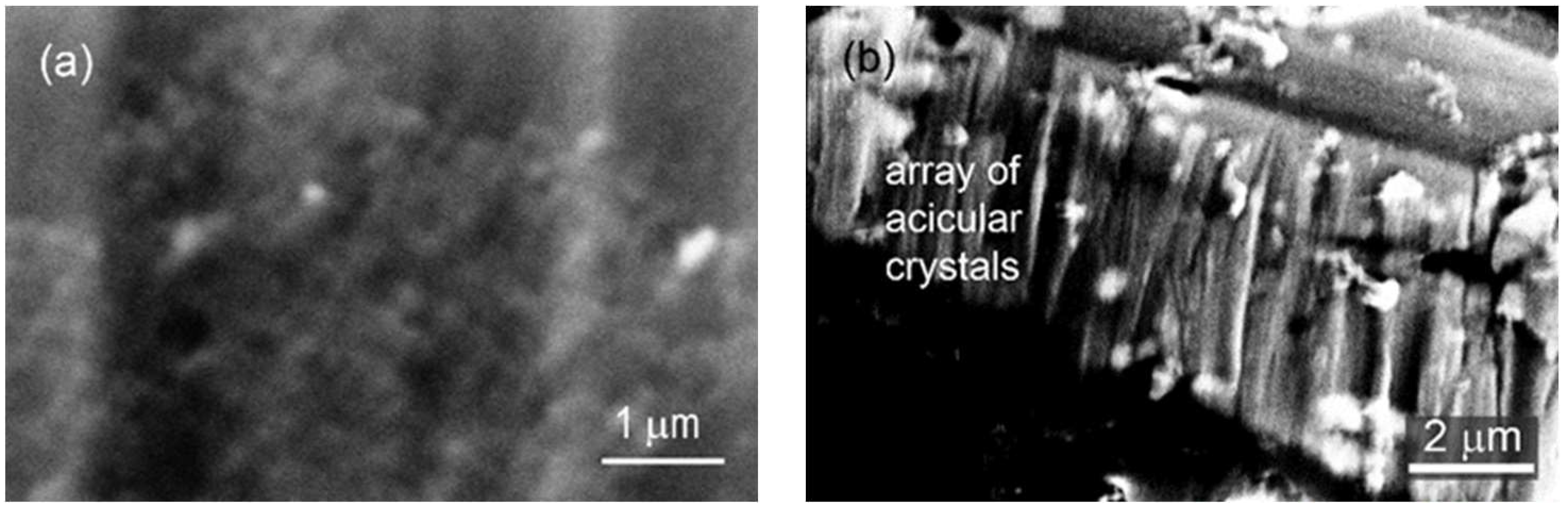 Coatings 13 01074 g008 Coatings 13 01074 g008