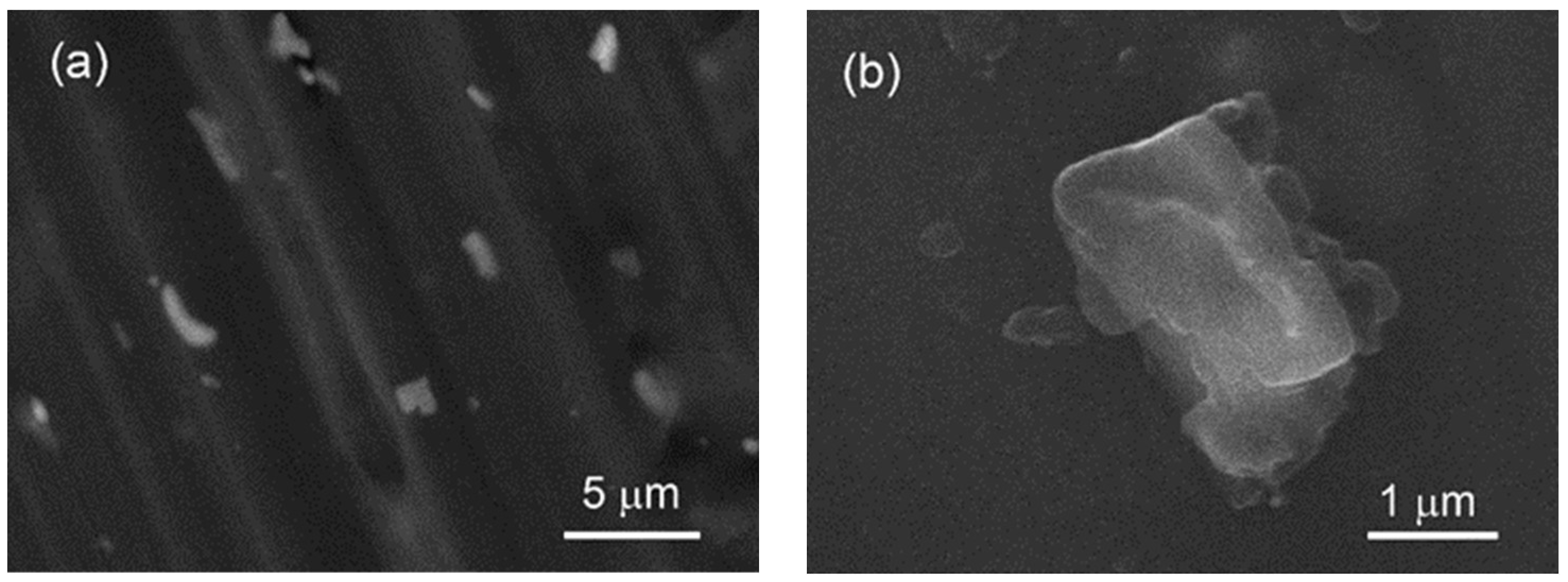 Coatings 13 01074 g009 Coatings 13 01074 g009