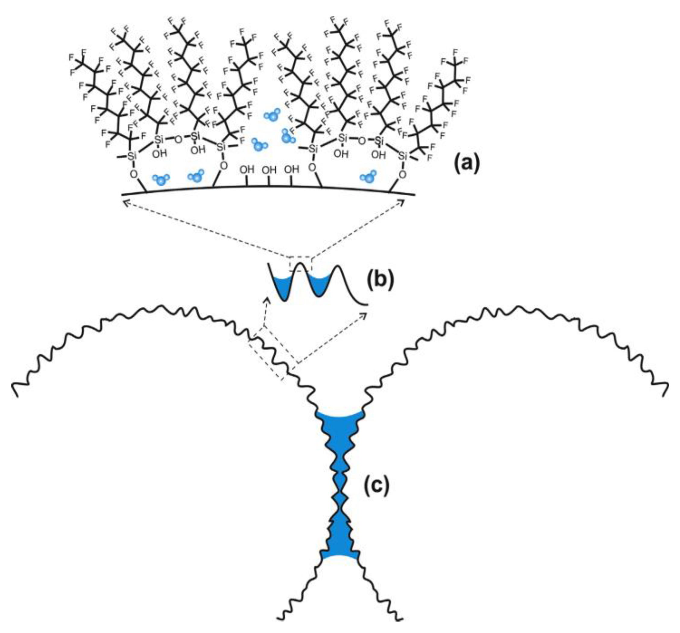 Coatings 13 01075 g017