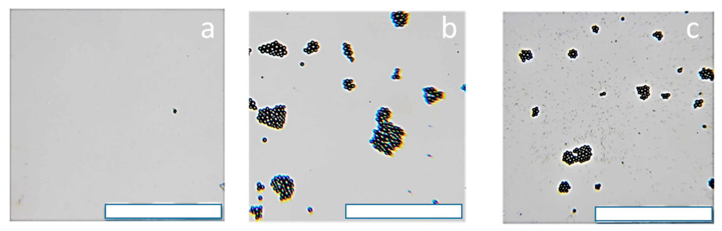 Coatings 13 01076 g007 Coatings 13 01076 g007