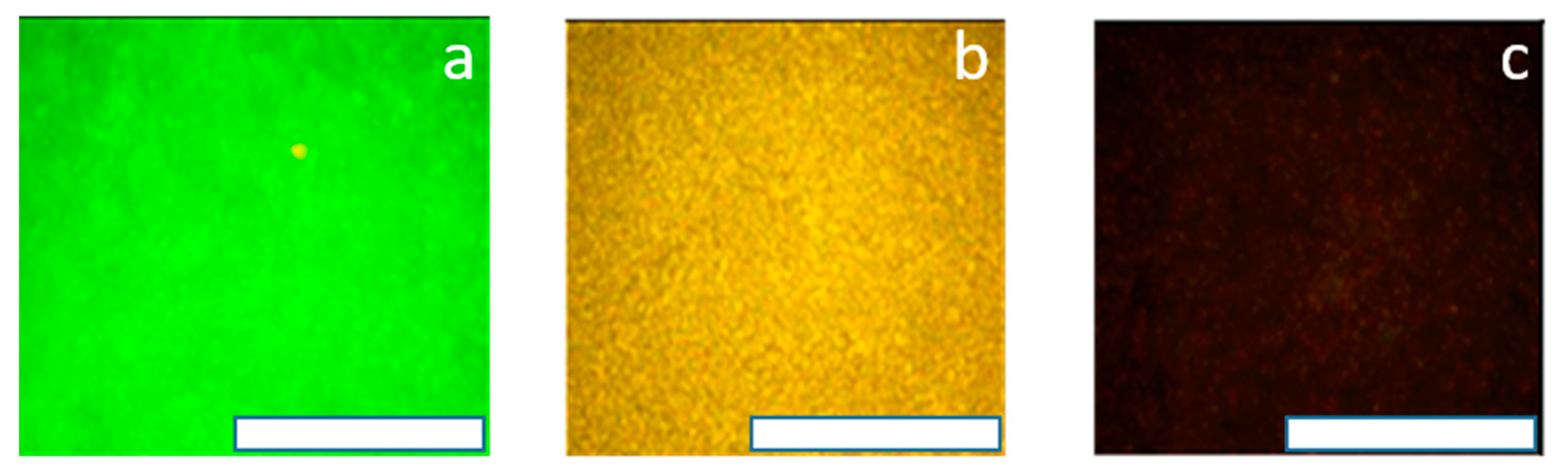 Coatings 13 01076 g008 Coatings 13 01076 g008