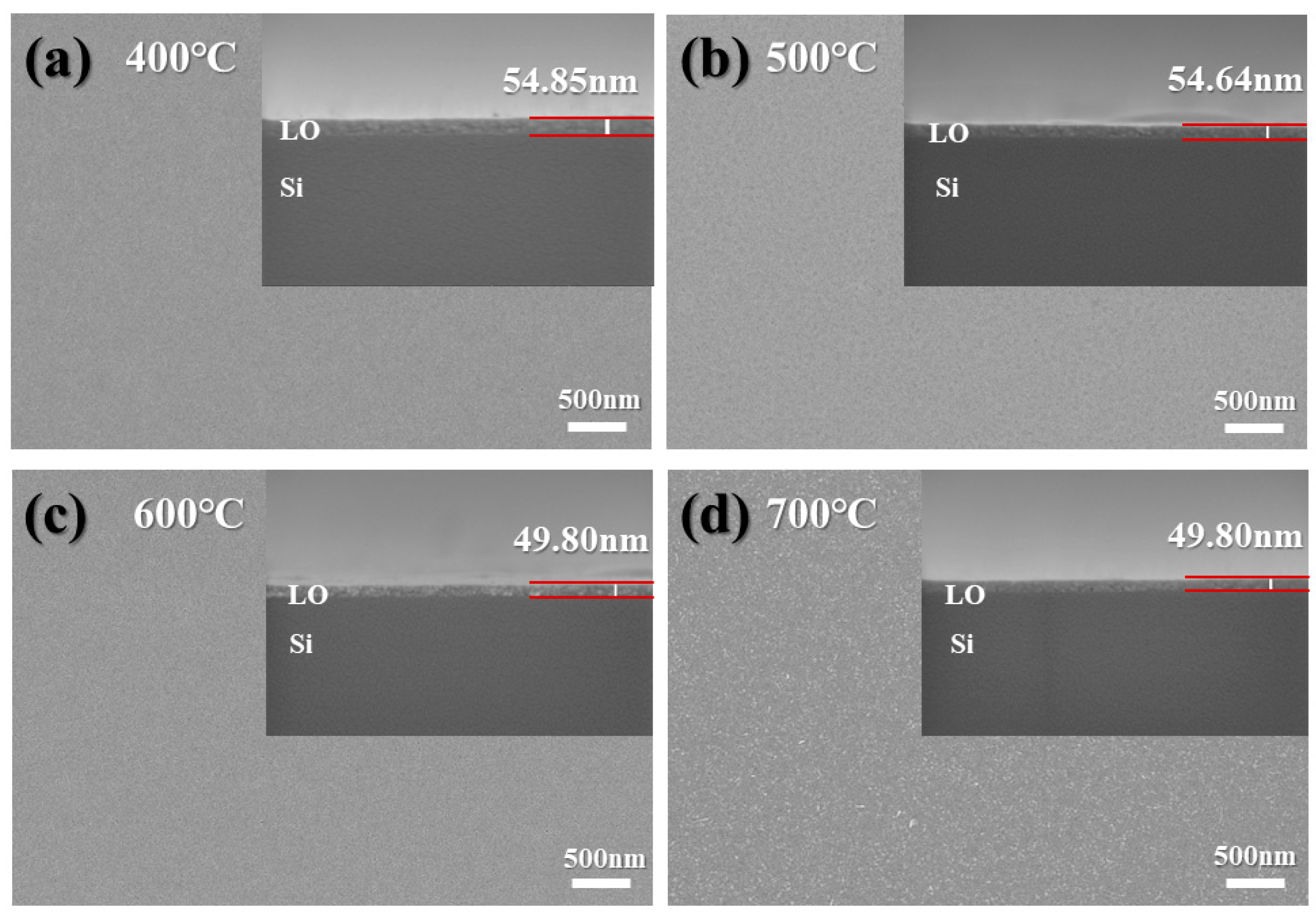 Coatings 13 01085 g003