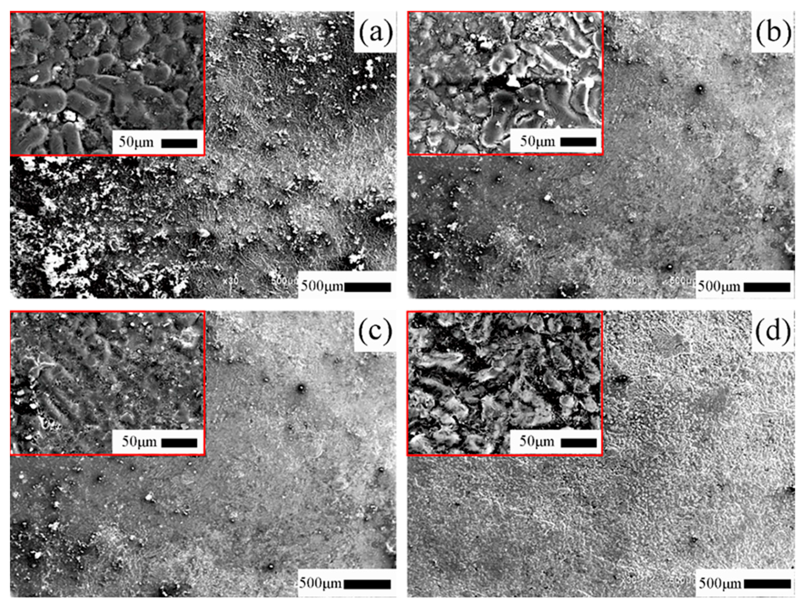 Coatings 13 01087 g003