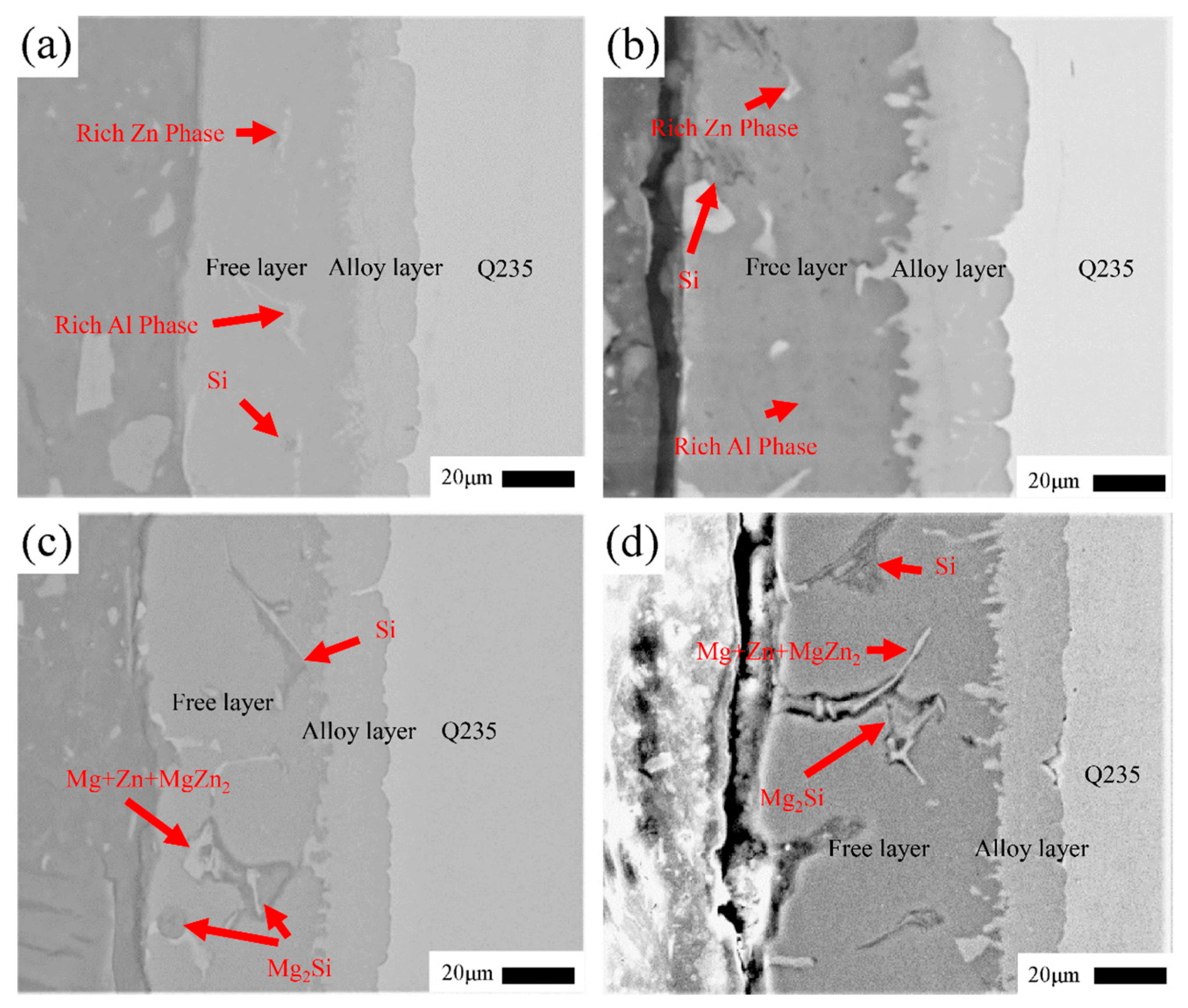 Coatings 13 01087 g005