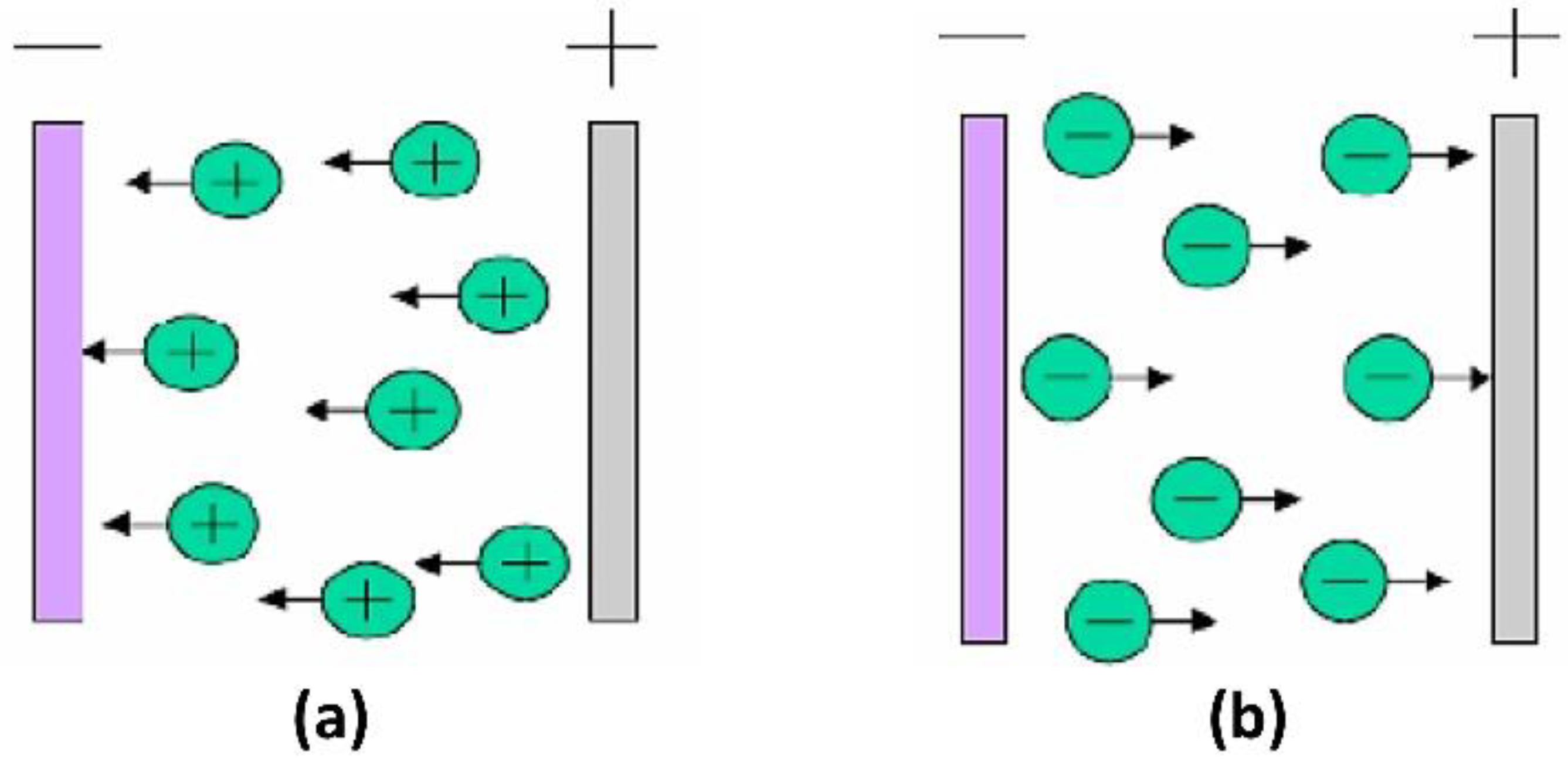 Coatings 13 01091 g008 Coatings 13 01091 g008