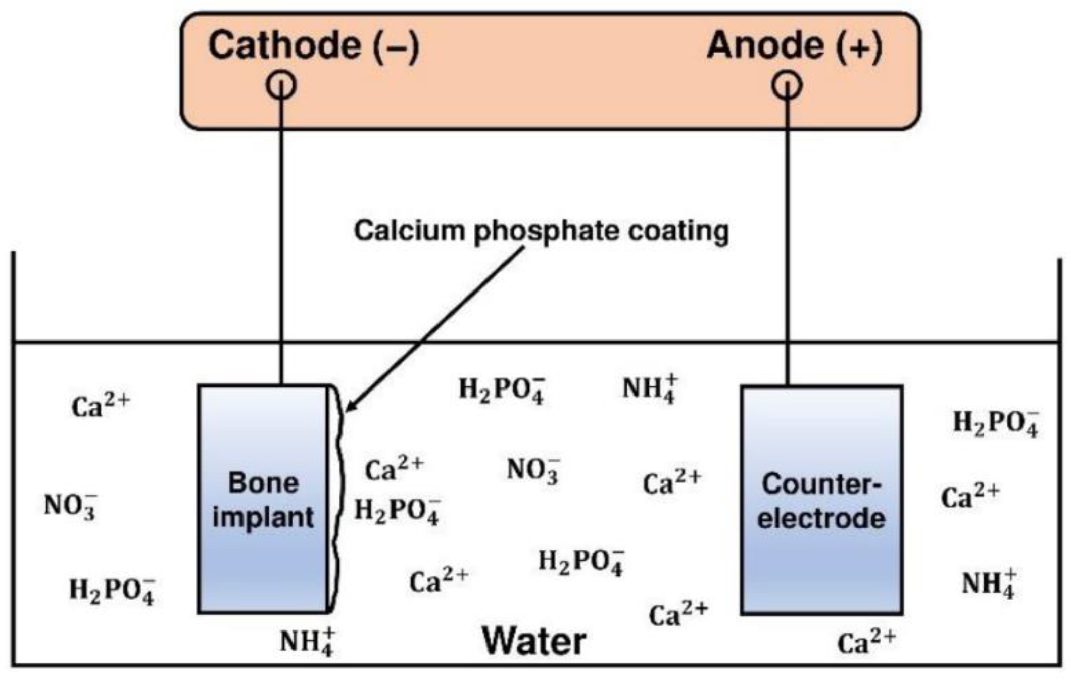 Coatings 13 01091 g012 Coatings 13 01091 g012