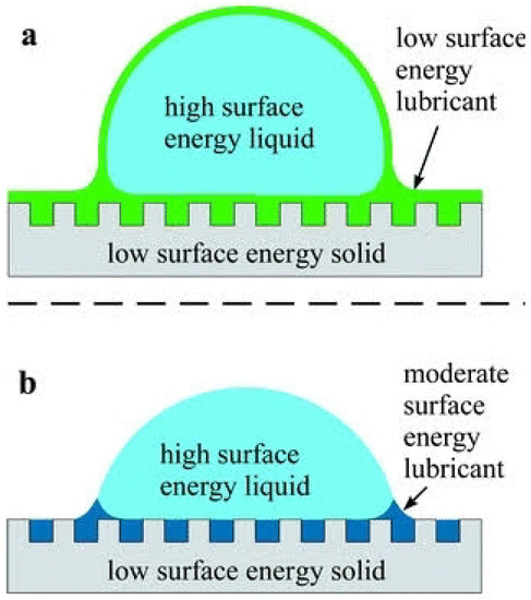 Lubricant-Infused Surfaces with Built-In Functional Biomolecules