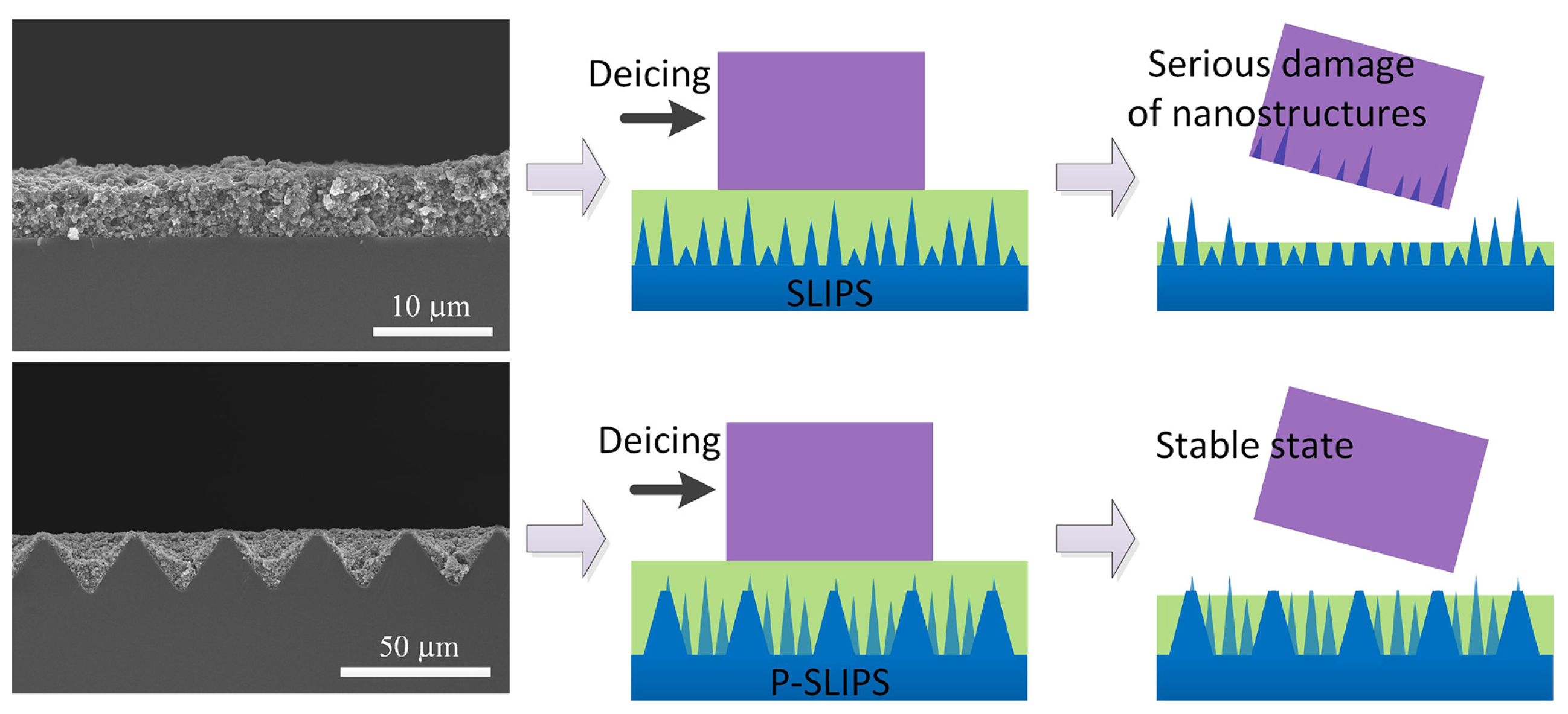 Coatings 13 01095 g008 Coatings 13 01095 g008