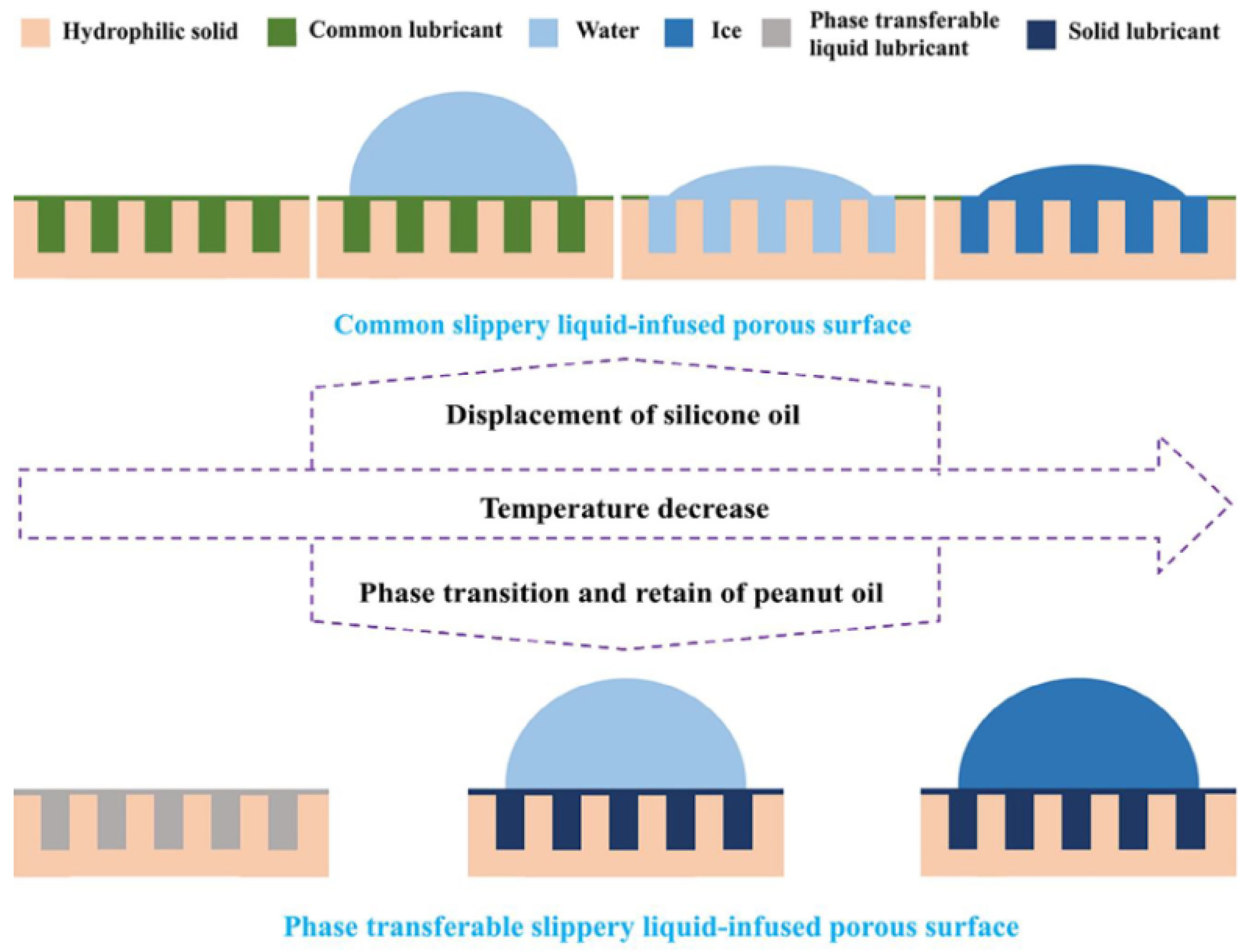 Coatings 13 01095 g013 Coatings 13 01095 g013