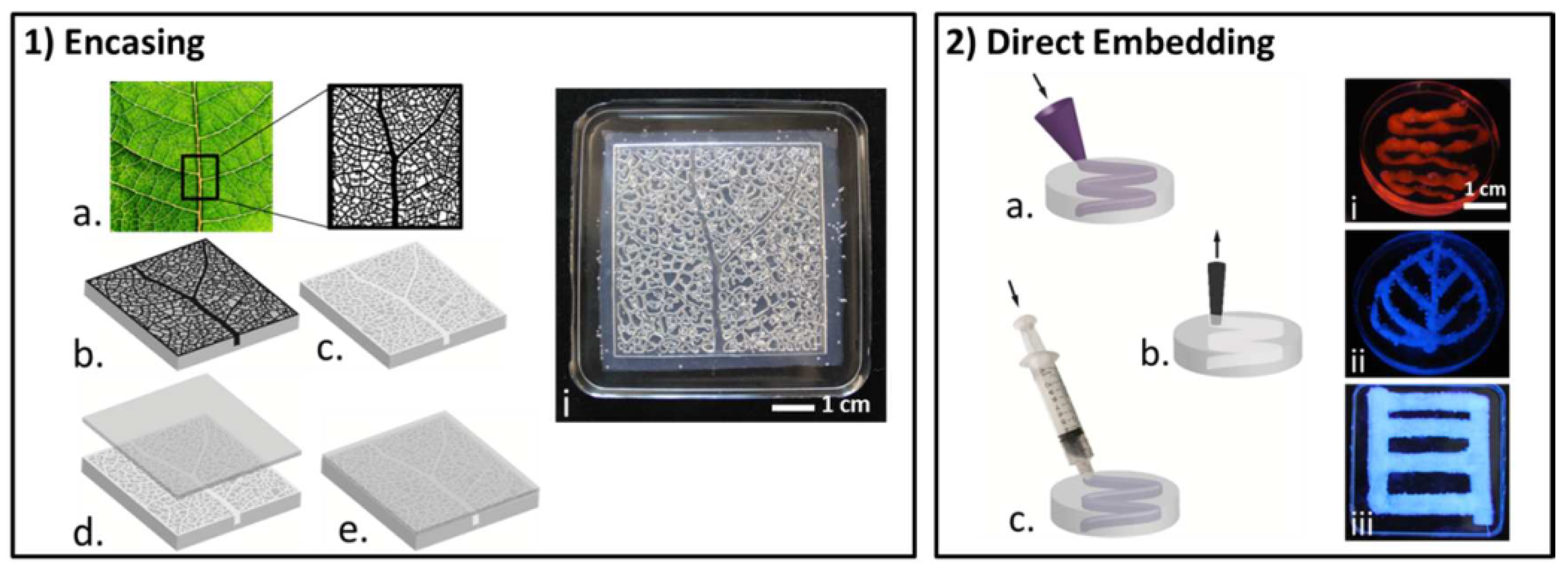 Coatings 13 01095 g016 Coatings 13 01095 g016