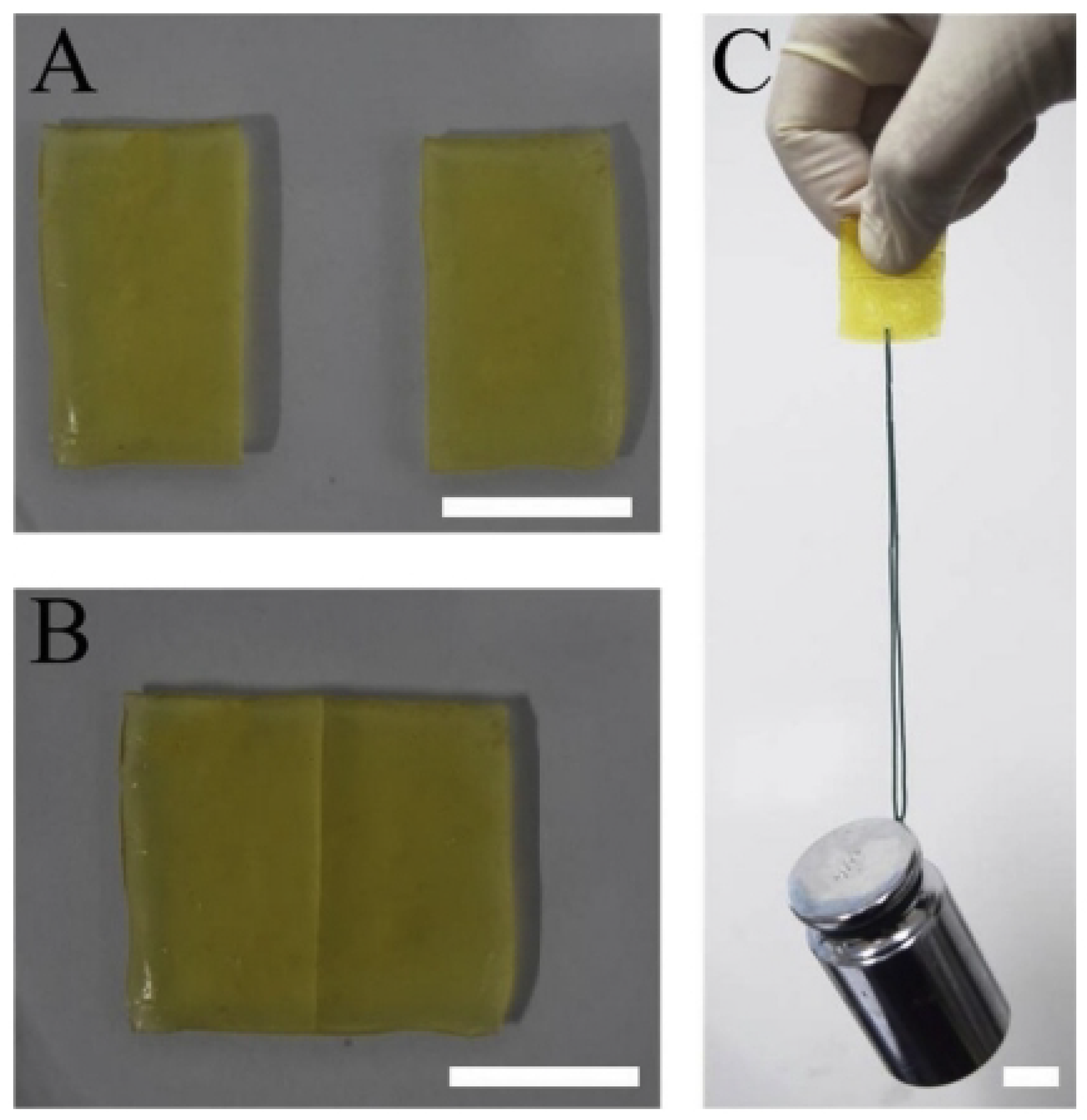 Coatings 13 01095 g018 Coatings 13 01095 g018