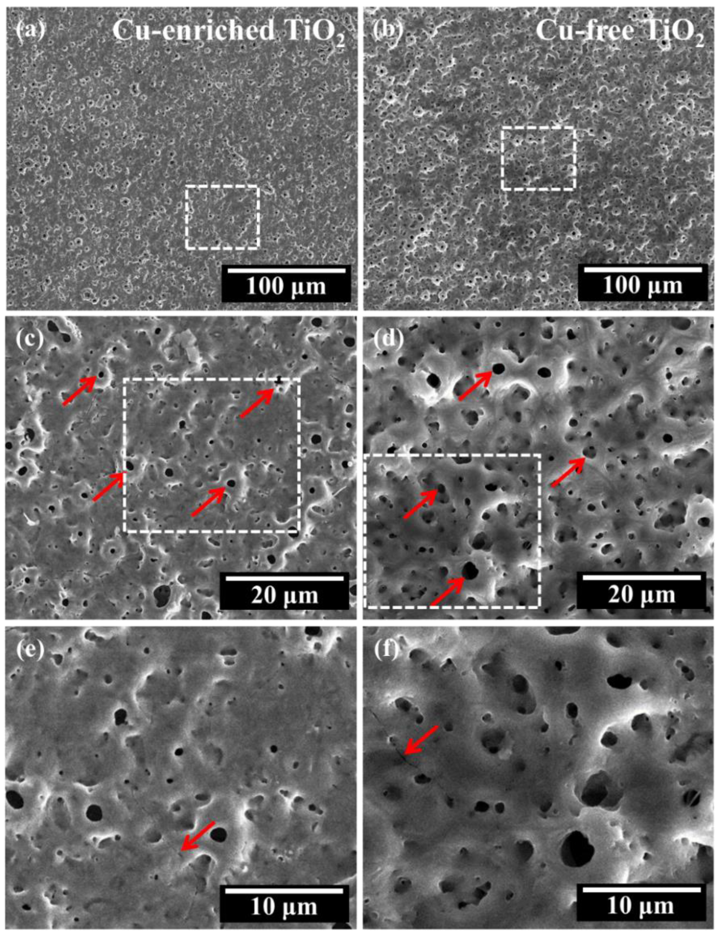 Coatings 13 01099 g002 Coatings 13 01099 g002