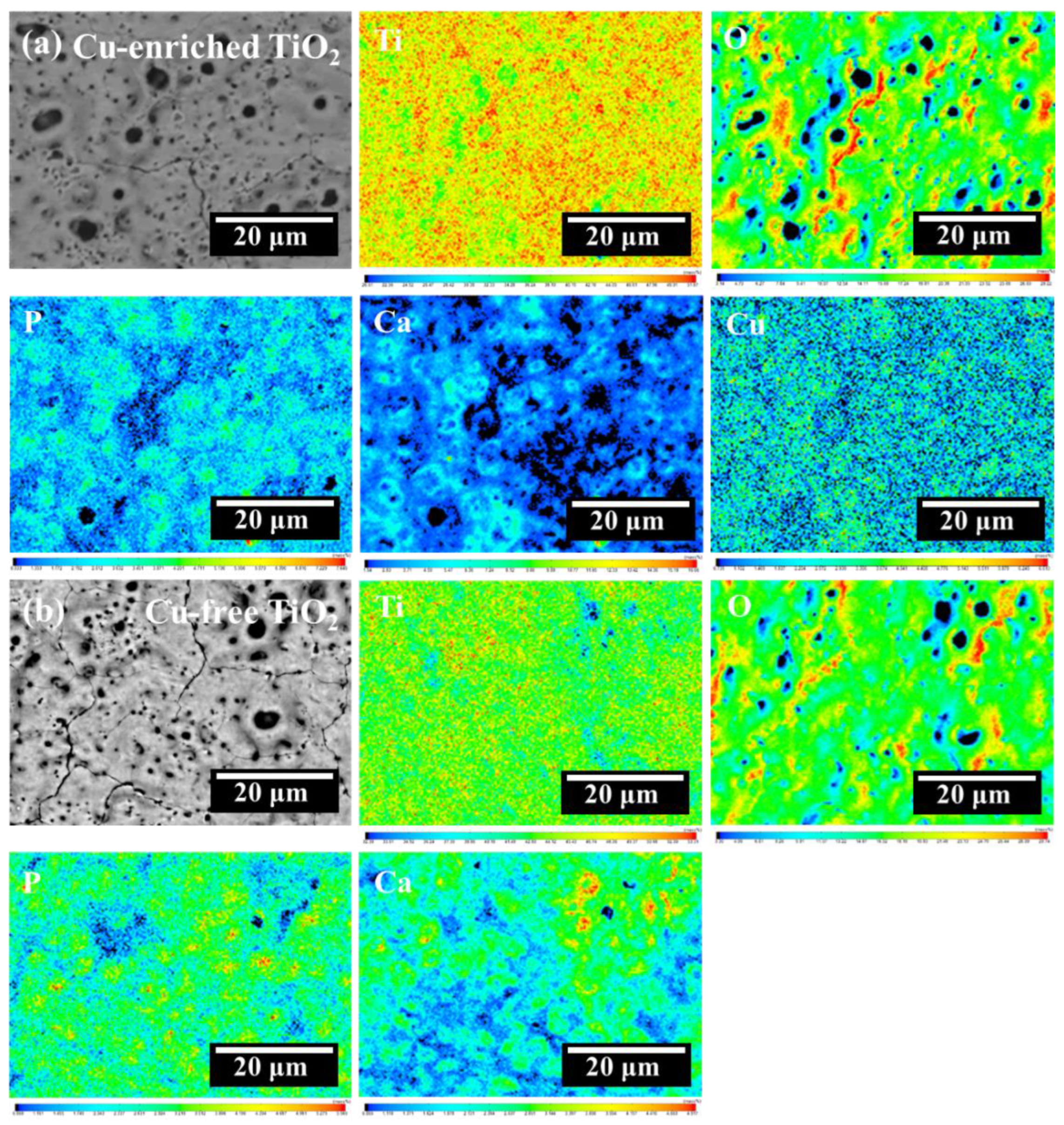 Coatings 13 01099 g003 Coatings 13 01099 g003