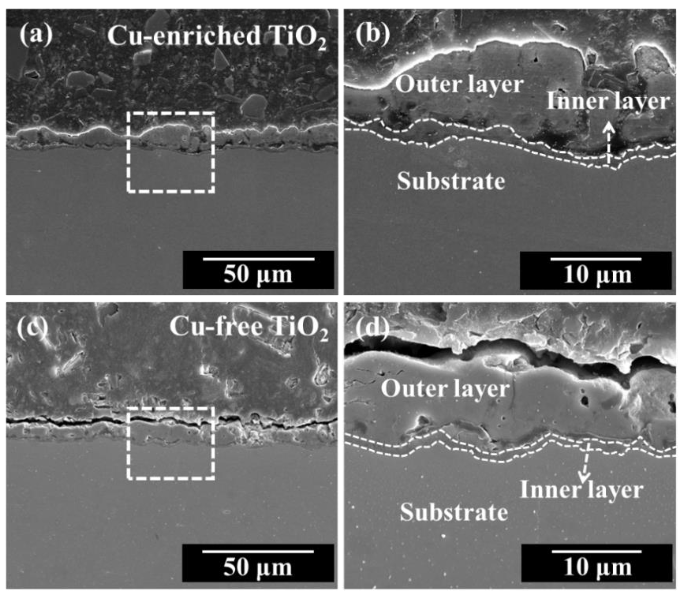 Coatings 13 01099 g004 Coatings 13 01099 g004