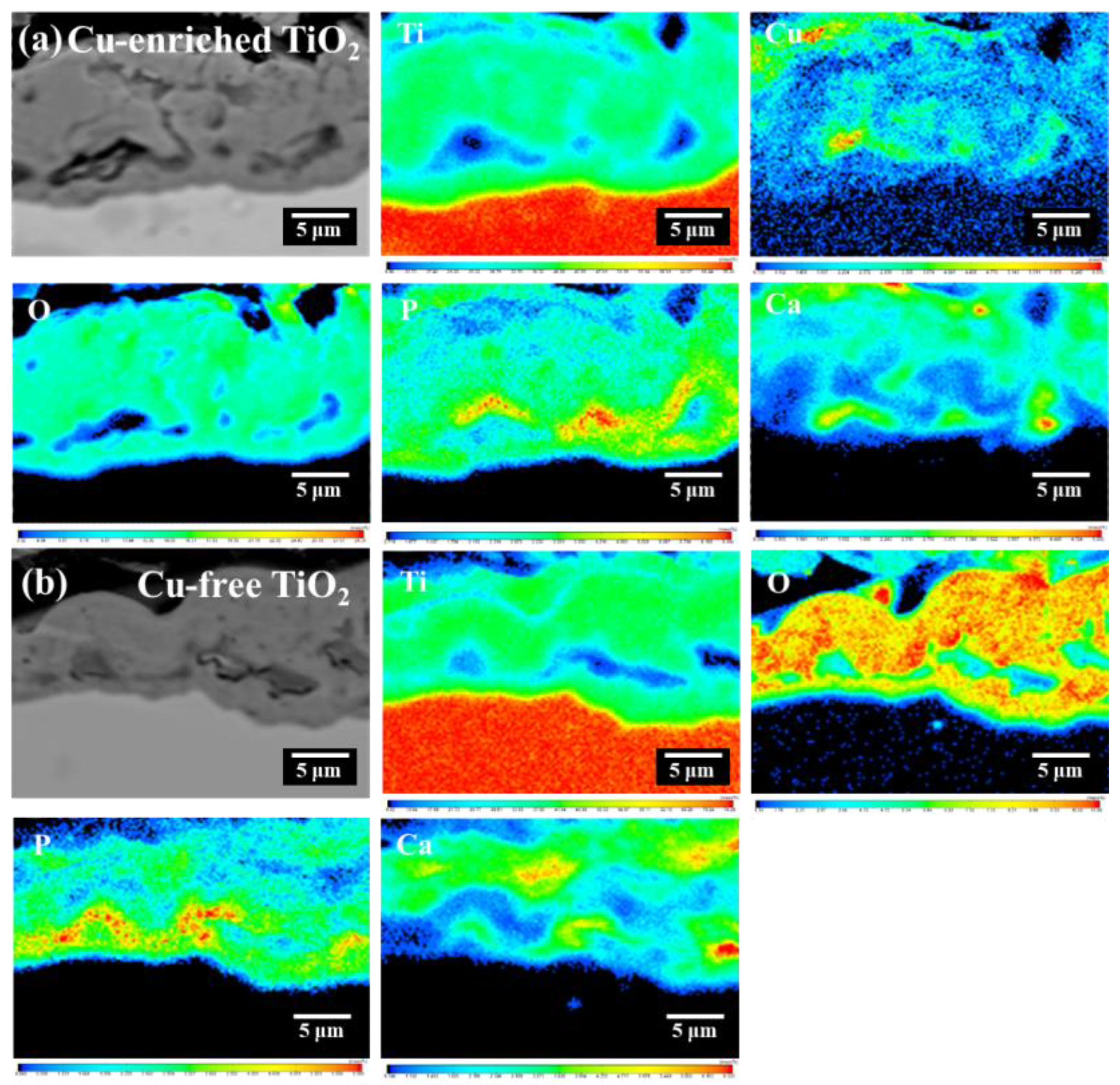 Coatings 13 01099 g005 Coatings 13 01099 g005