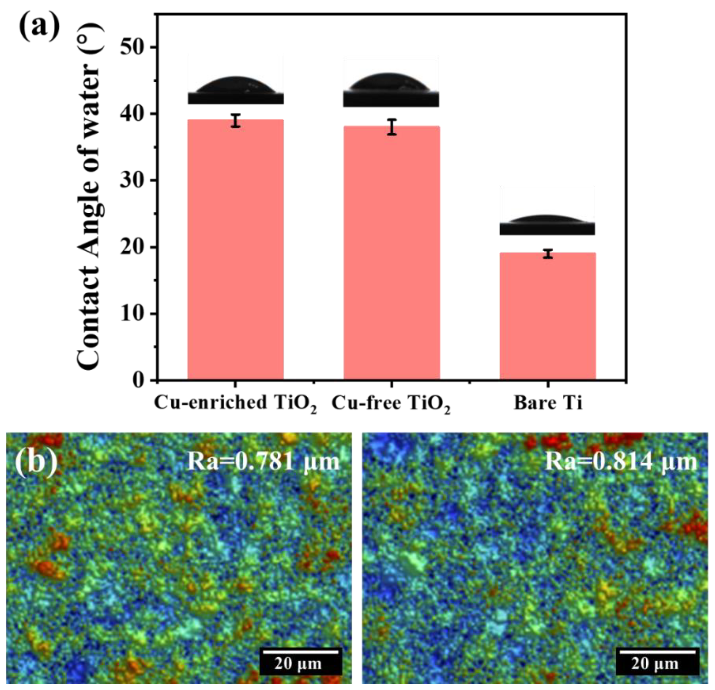 Coatings 13 01099 g007 Coatings 13 01099 g007