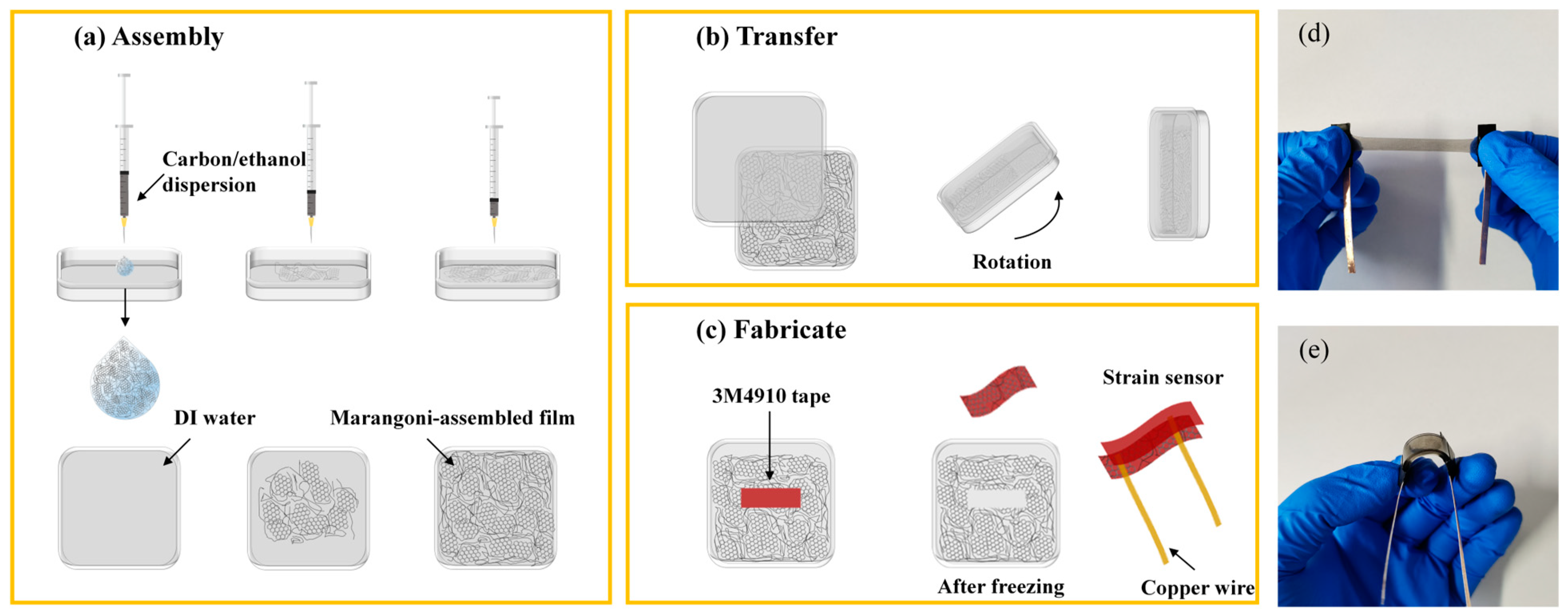 Tape, Double-Sided  Coy Laboratory Products