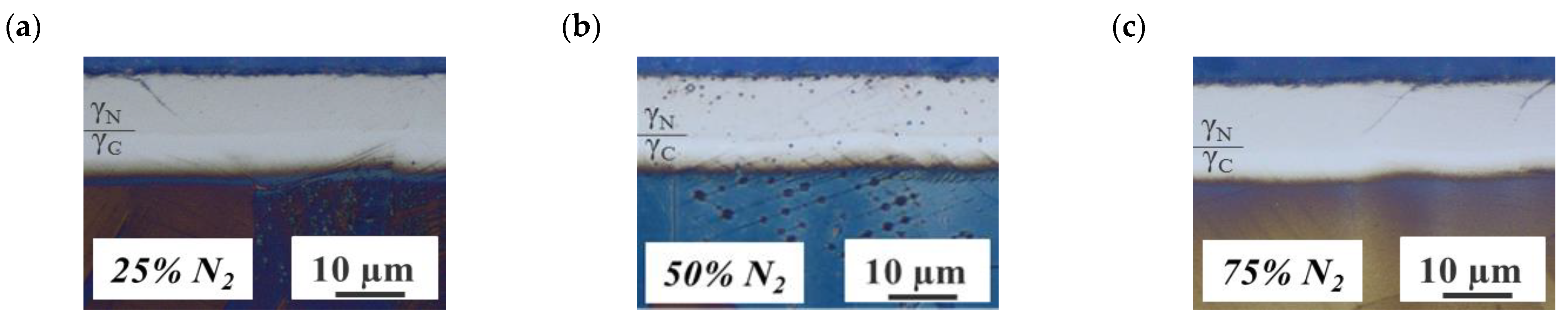 Coatings 13 01103 g006a