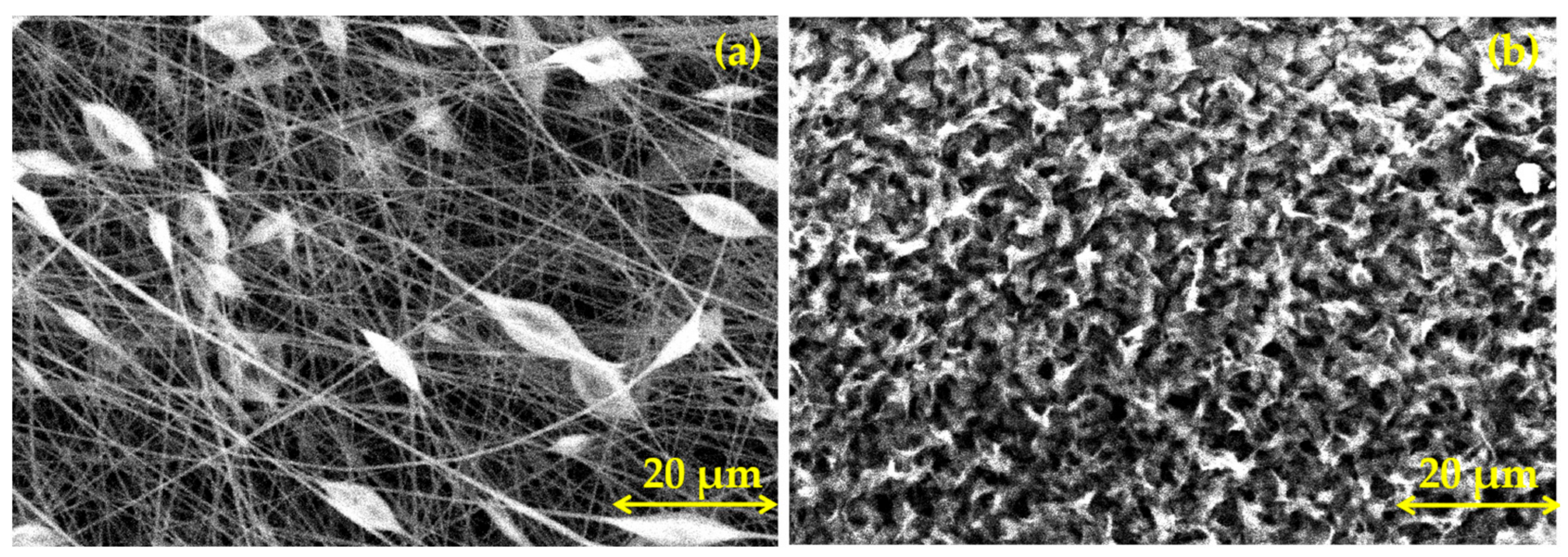 Coatings 13 01105 g001 Coatings 13 01105 g001