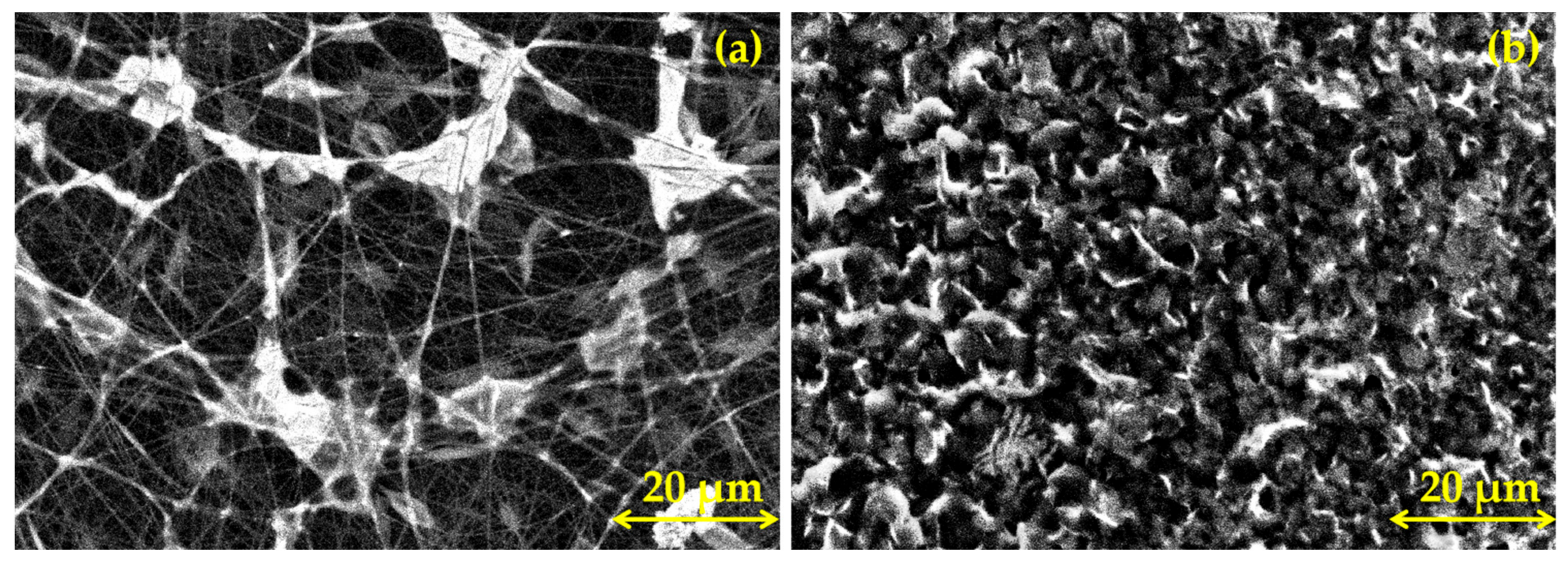 Coatings 13 01105 g008 Coatings 13 01105 g008