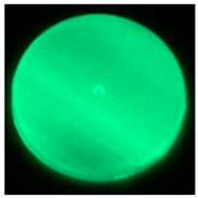 Coatings 13 01108 i004 Coatings 13 01108 i004