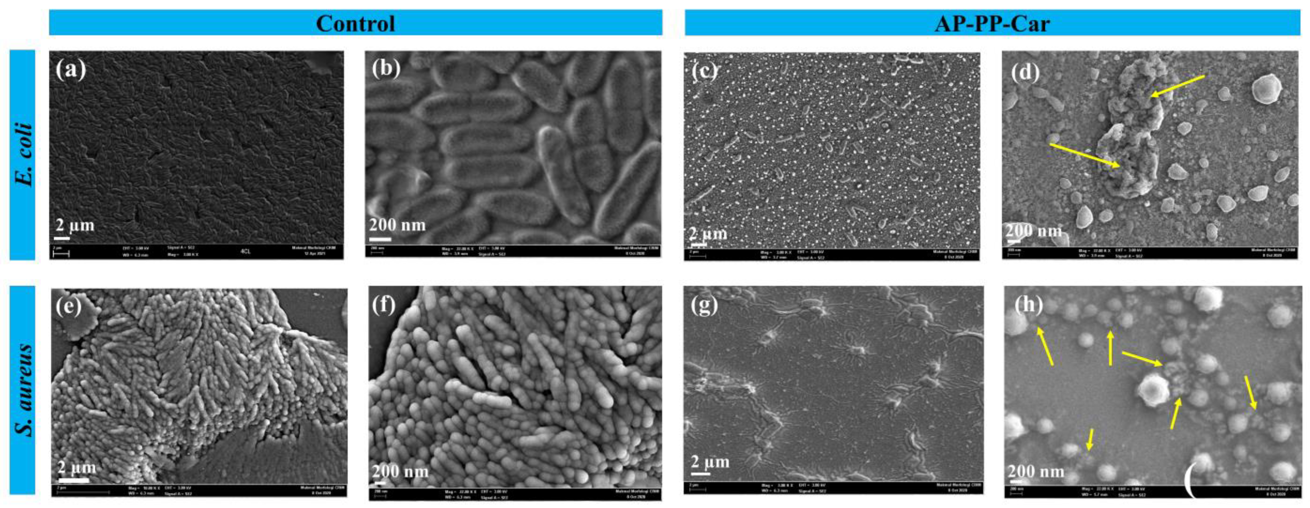 Coatings 13 01112 g008 Coatings 13 01112 g008