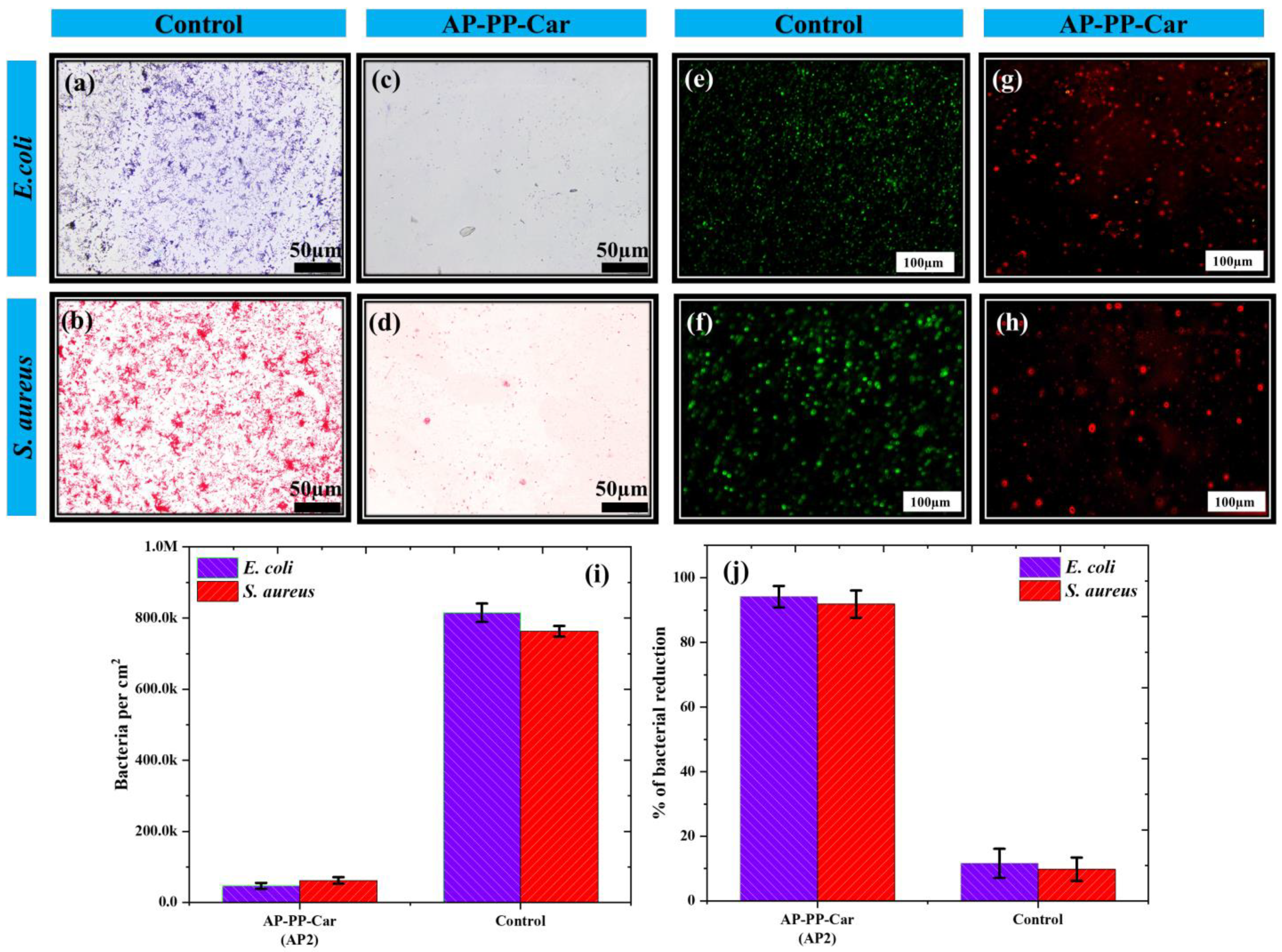 Coatings 13 01112 g009 Coatings 13 01112 g009